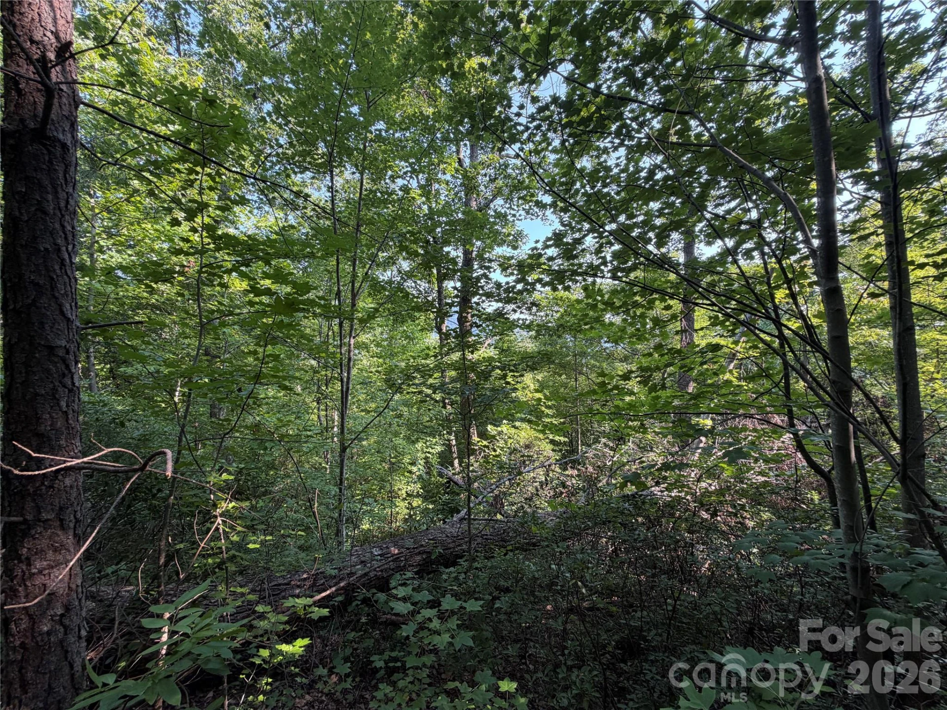 00 Holland Drive #24 - Photo 32