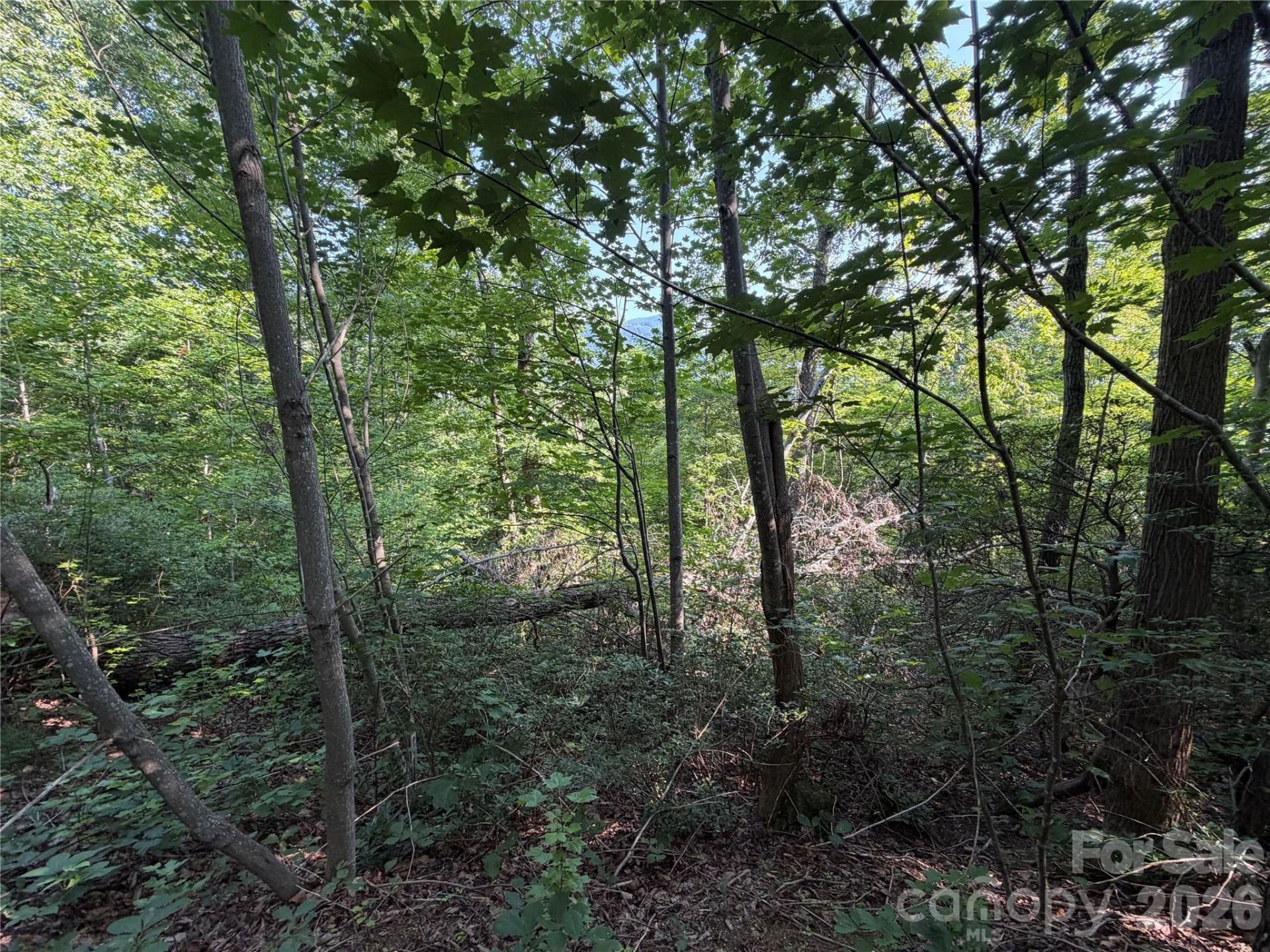 00 Holland Drive #24 - Photo 34