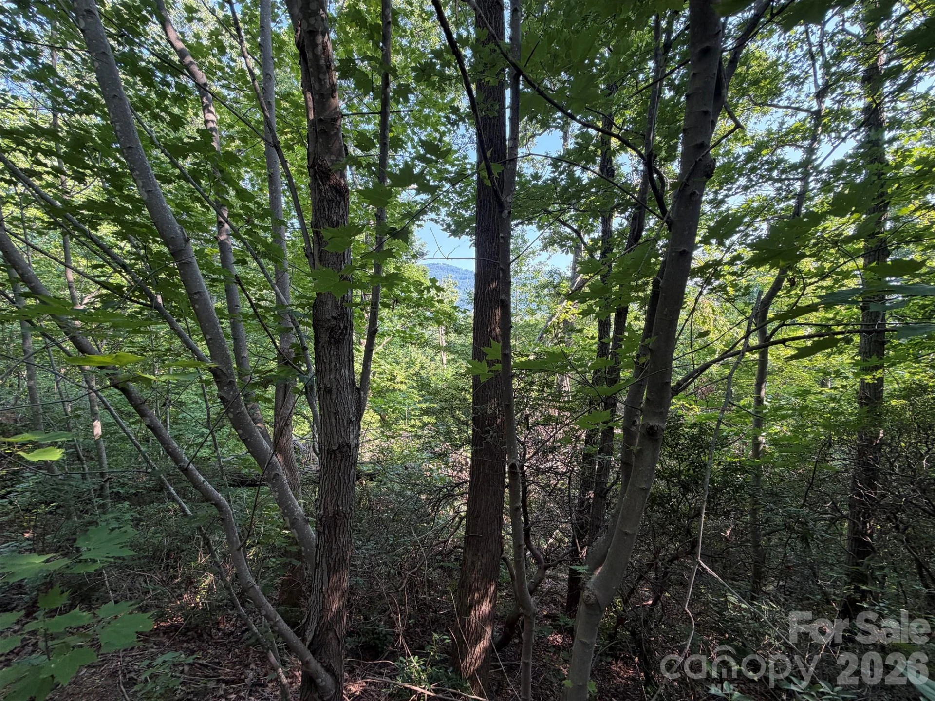 00 Holland Drive #24 - Photo 36