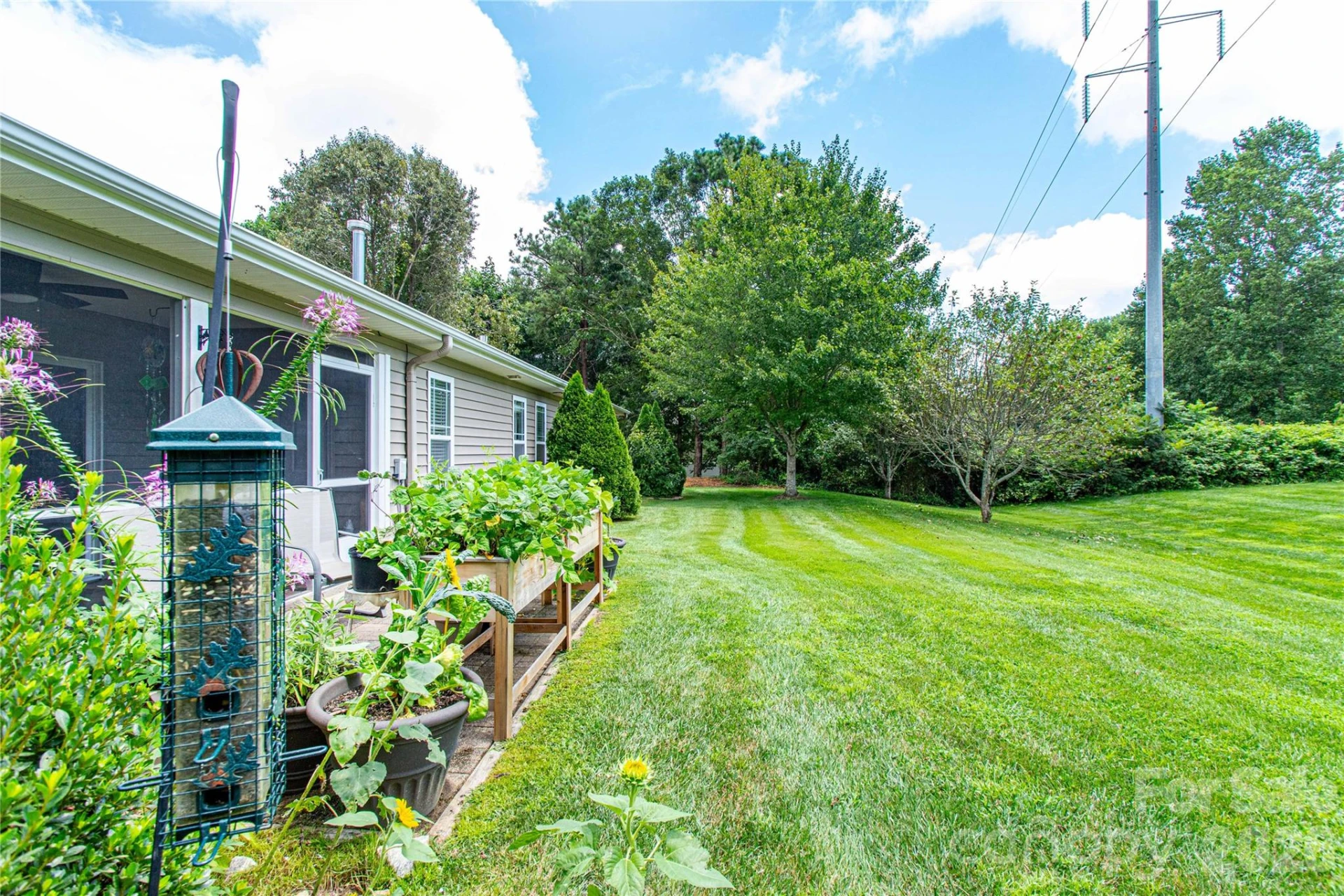 5303 Wood Duck Way - Photo 14