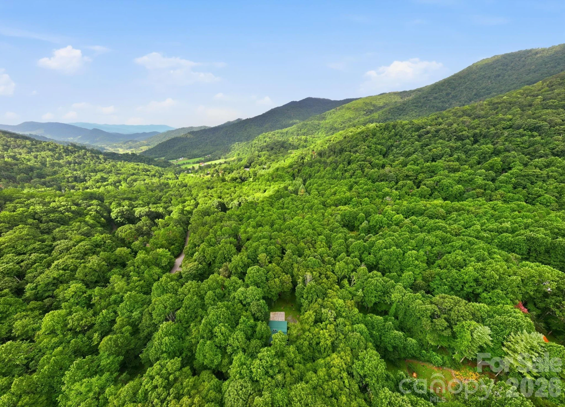 4035 Bald Creek Road - Photo 37