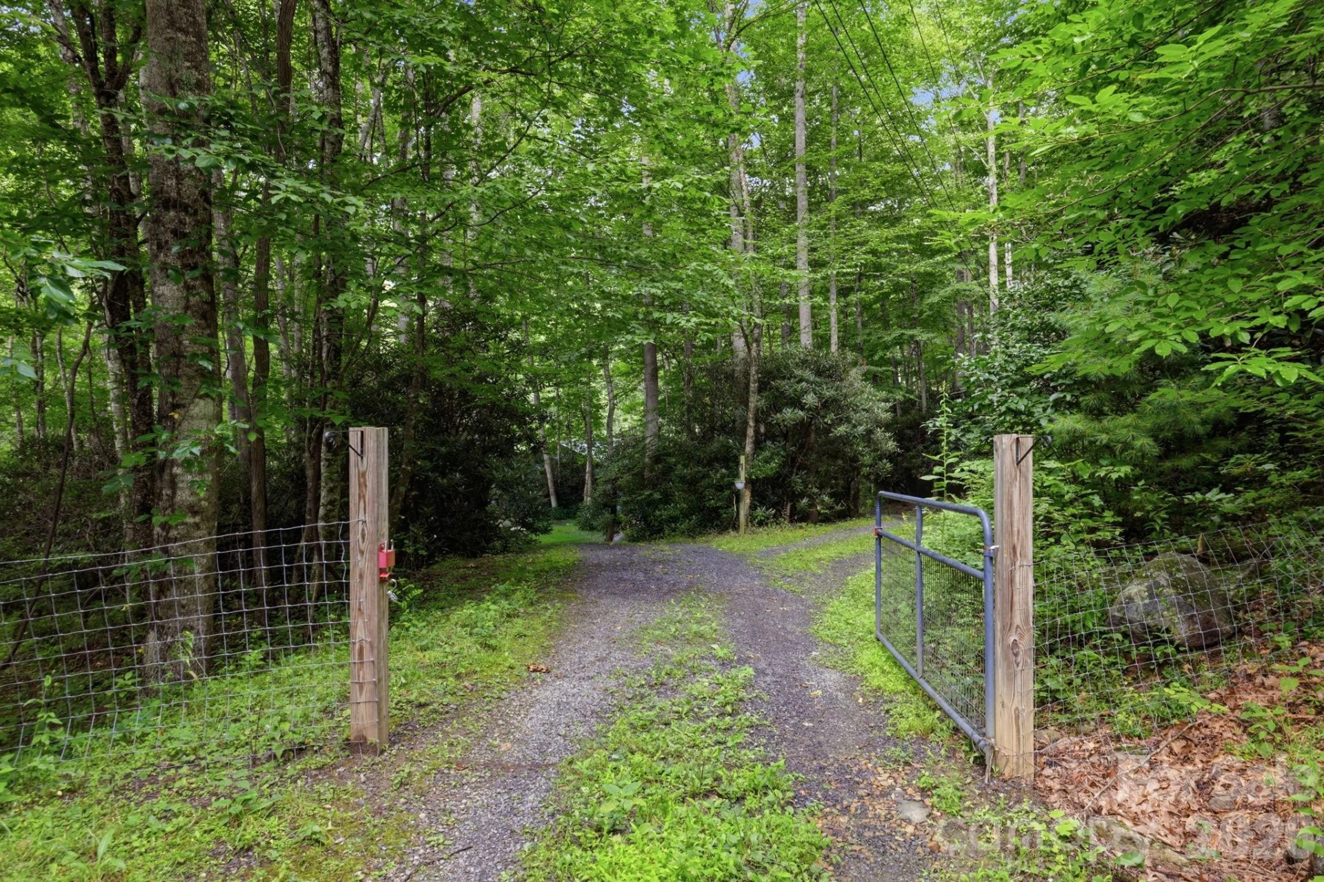 4035 Bald Creek Road - Photo 39