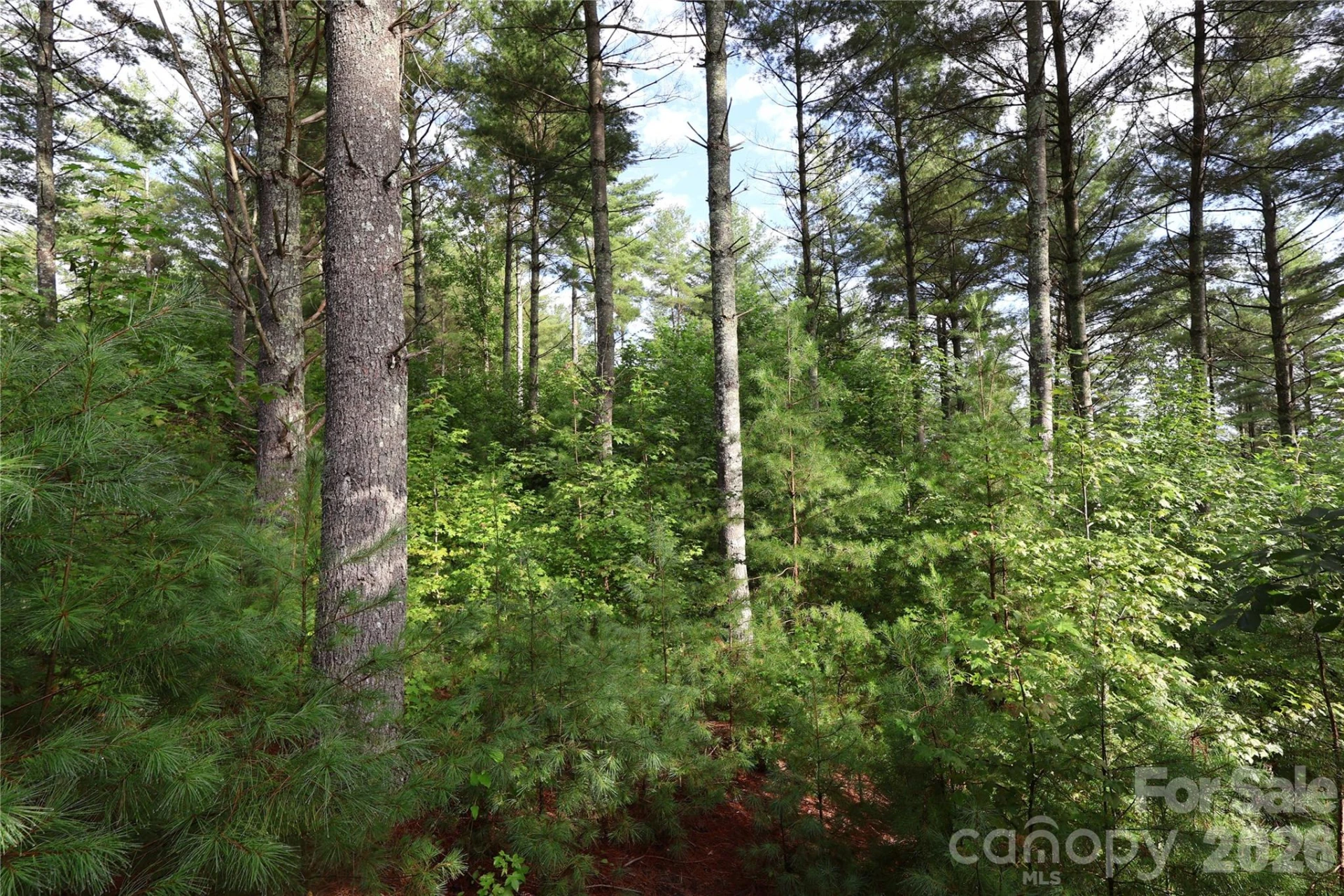 TBD Peninsula Reserve Drive #6 - Photo 23