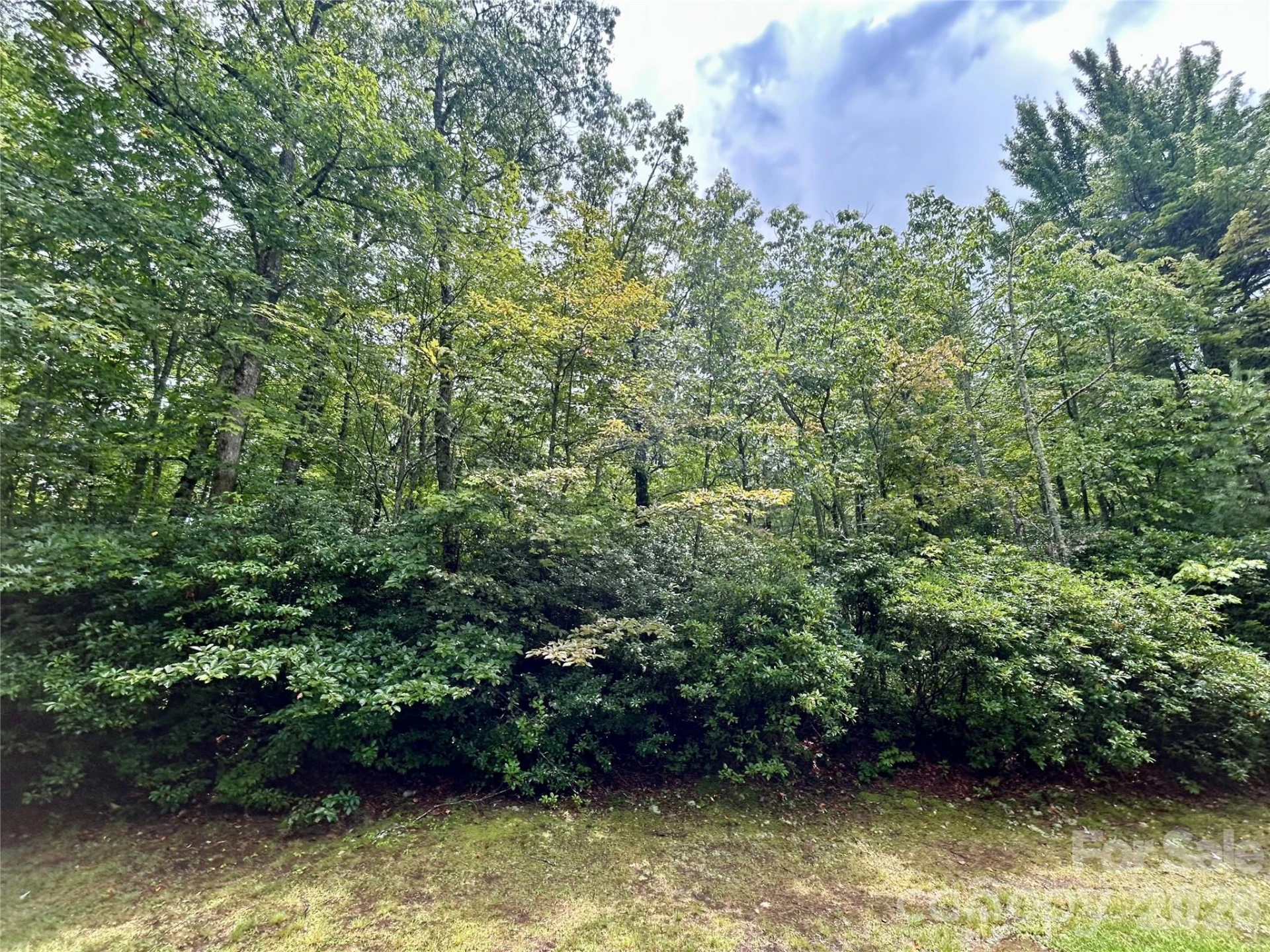 Lot 40 Hawk Mountain Road - Photo 4