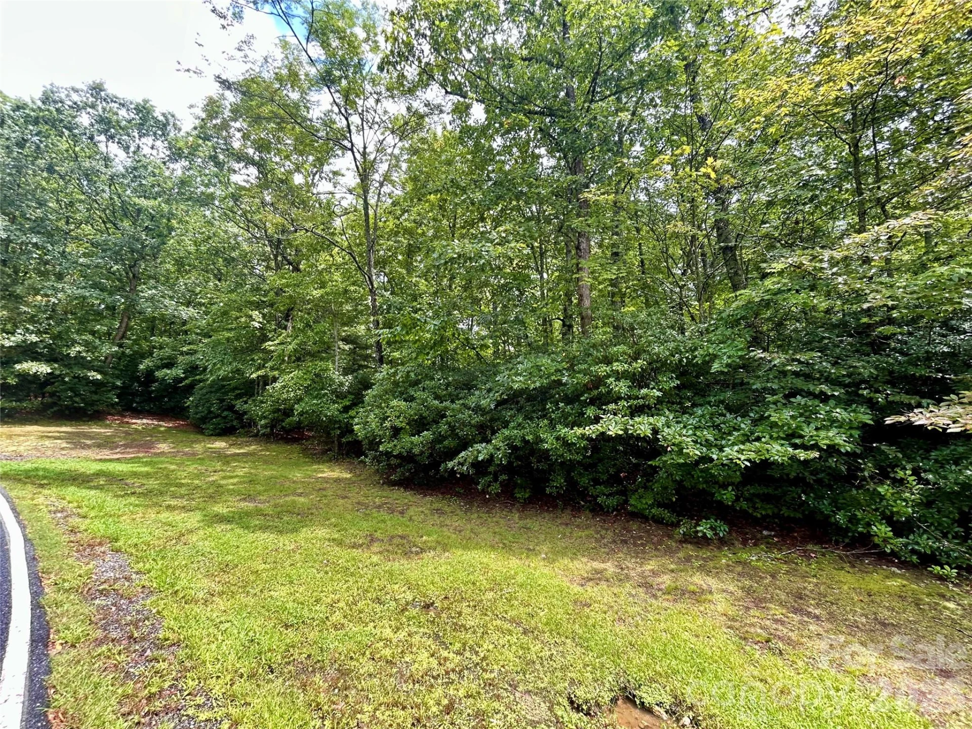 Lot 40 Hawk Mountain Road - Photo 5