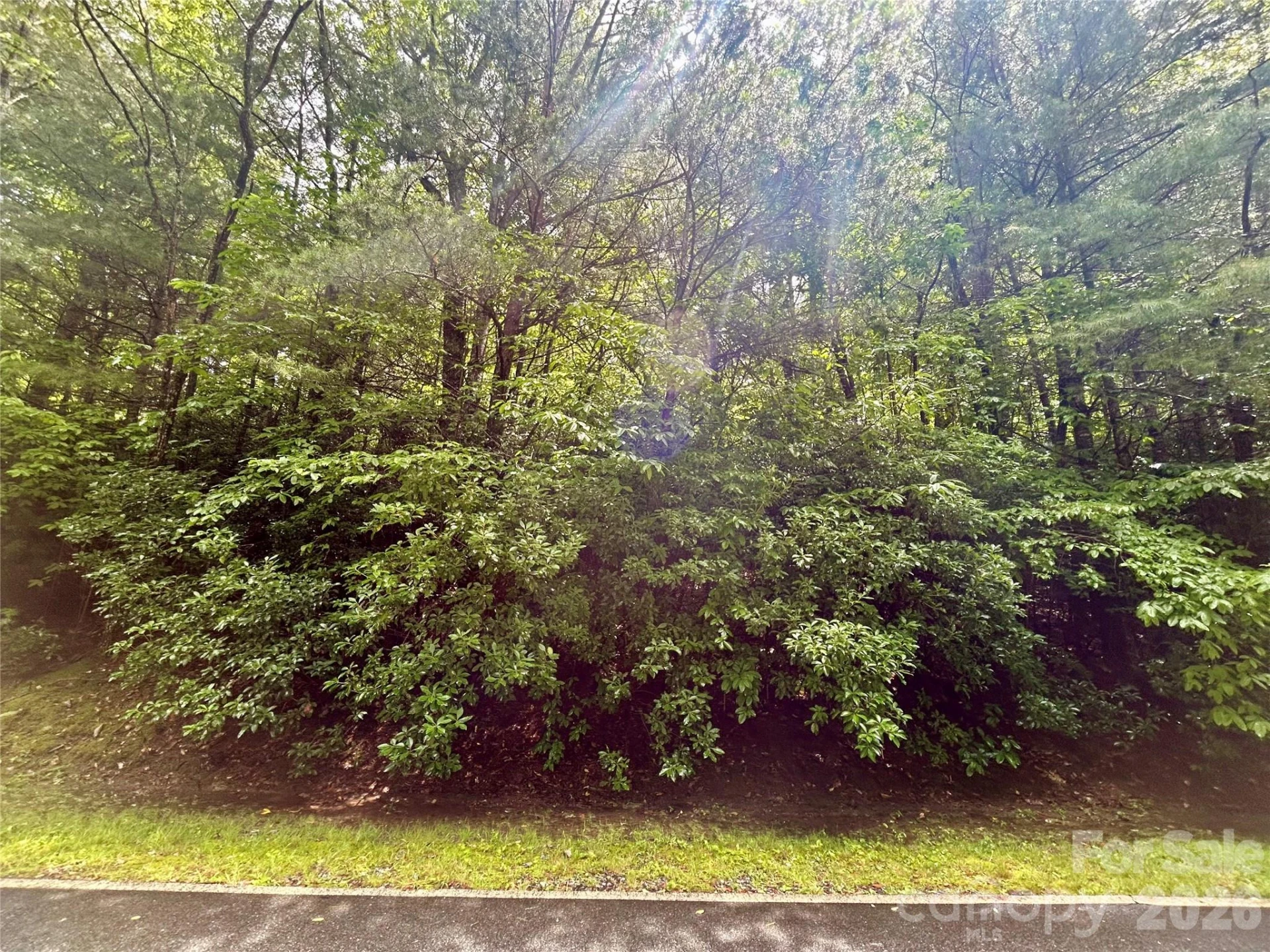 Lot 40 Hawk Mountain Road - Photo 6
