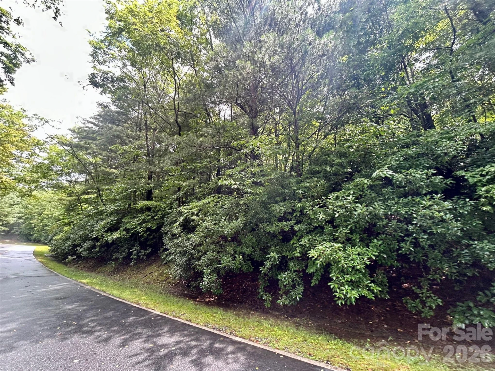 Lot 40 Hawk Mountain Road - Photo 7