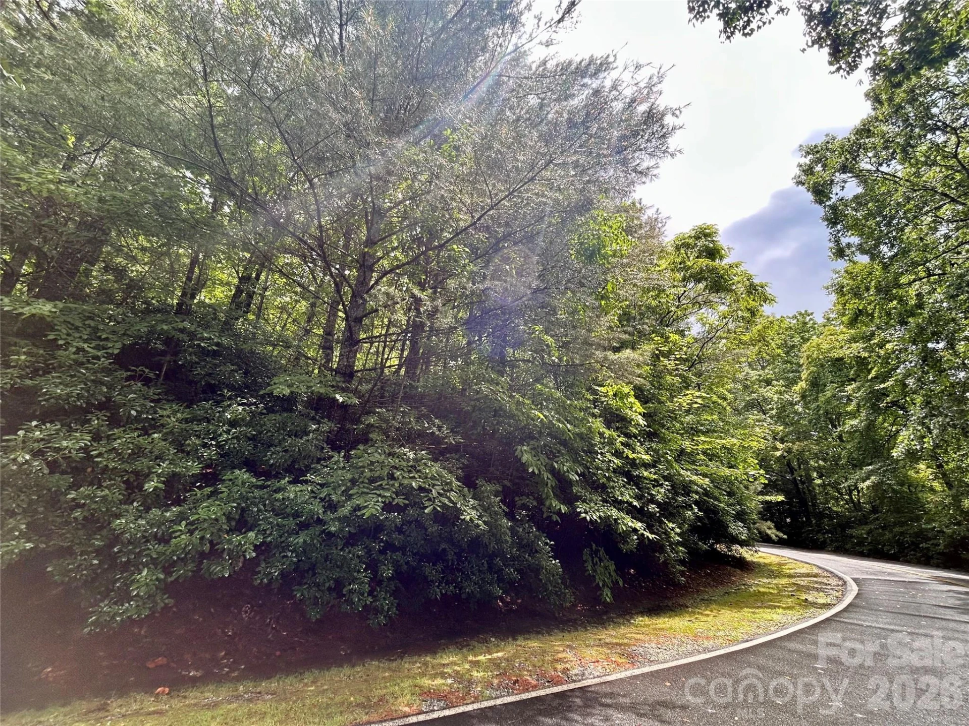 Lot 40 Hawk Mountain Road - Photo 8