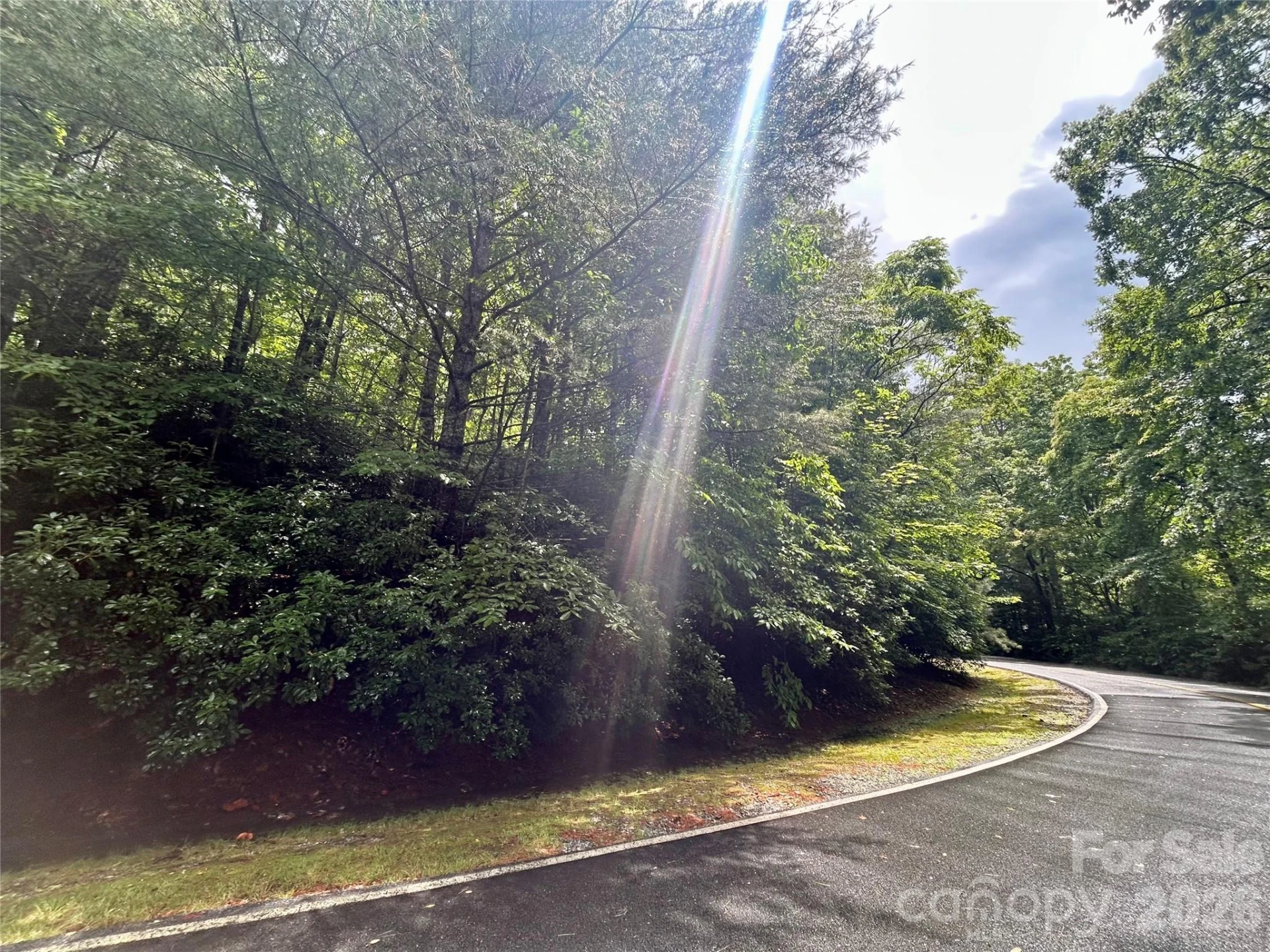 Lot 40 Hawk Mountain Road - Photo 9