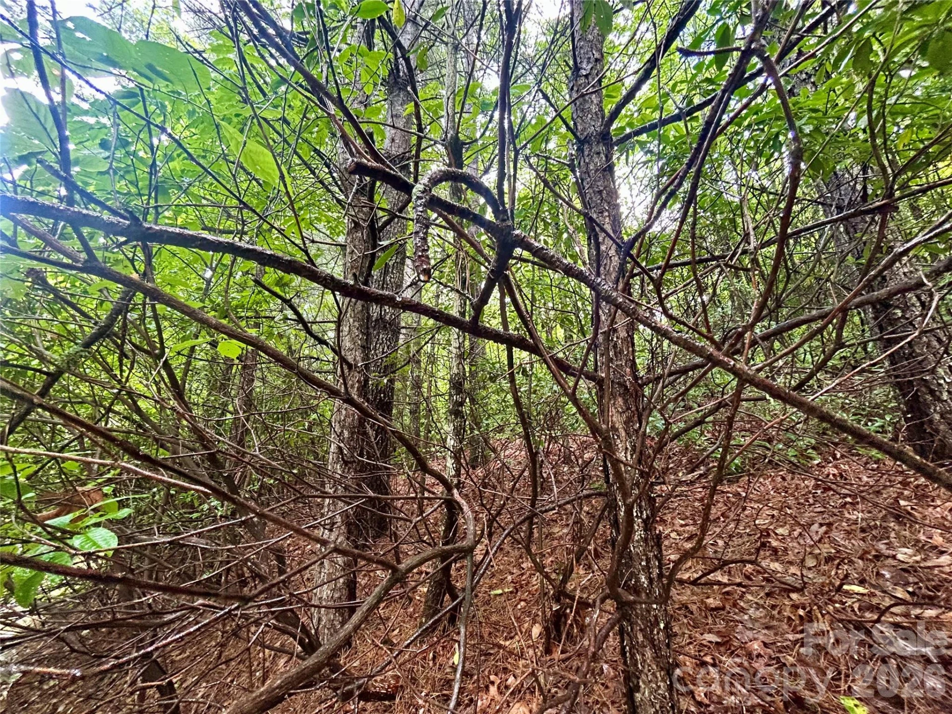 Lot 40 Hawk Mountain Road - Photo 10