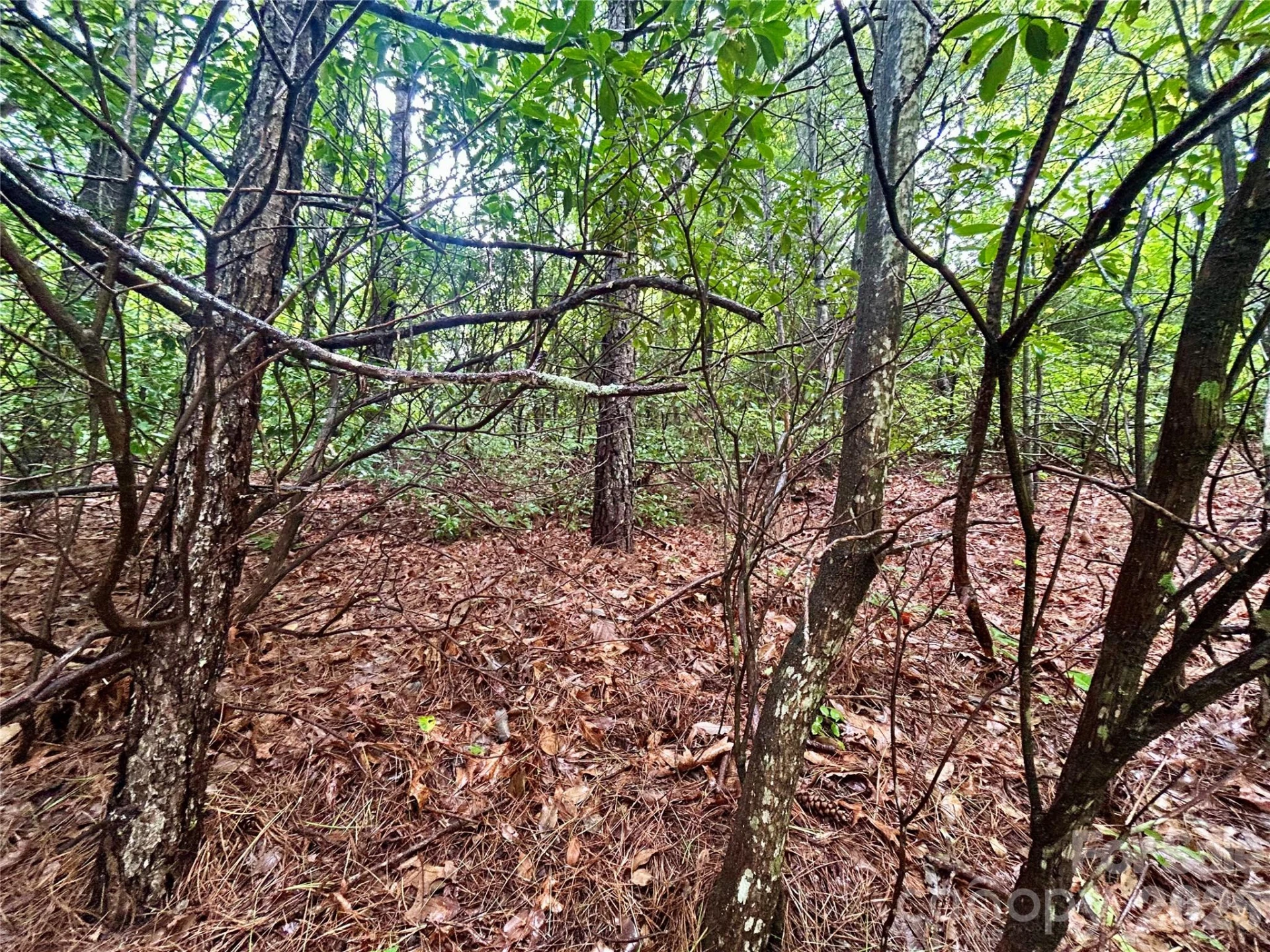 Lot 40 Hawk Mountain Road - Photo 11