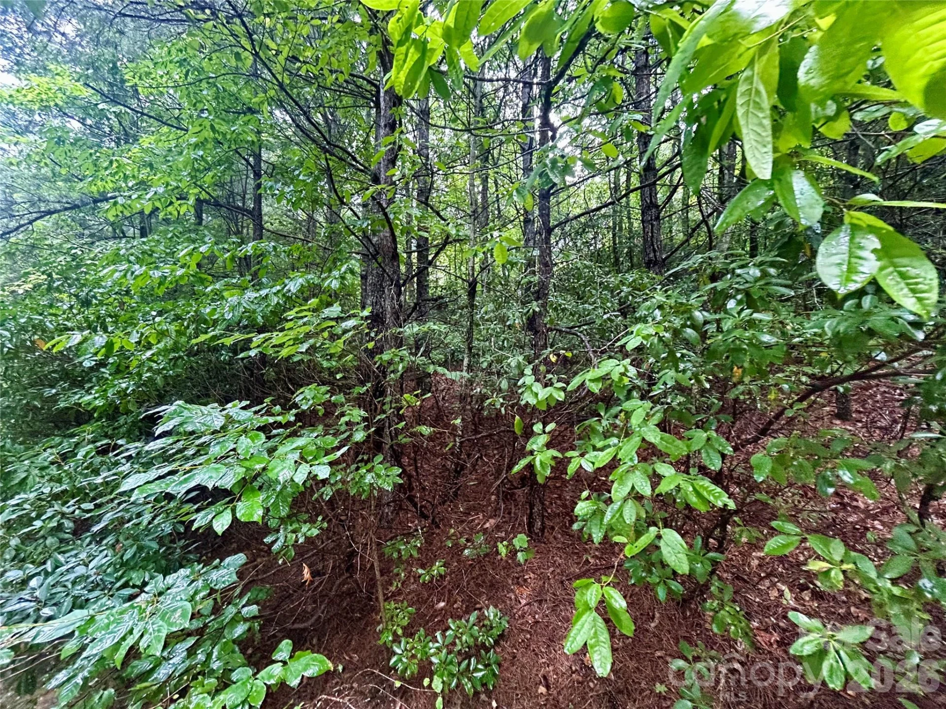 Lot 40 Hawk Mountain Road - Photo 12