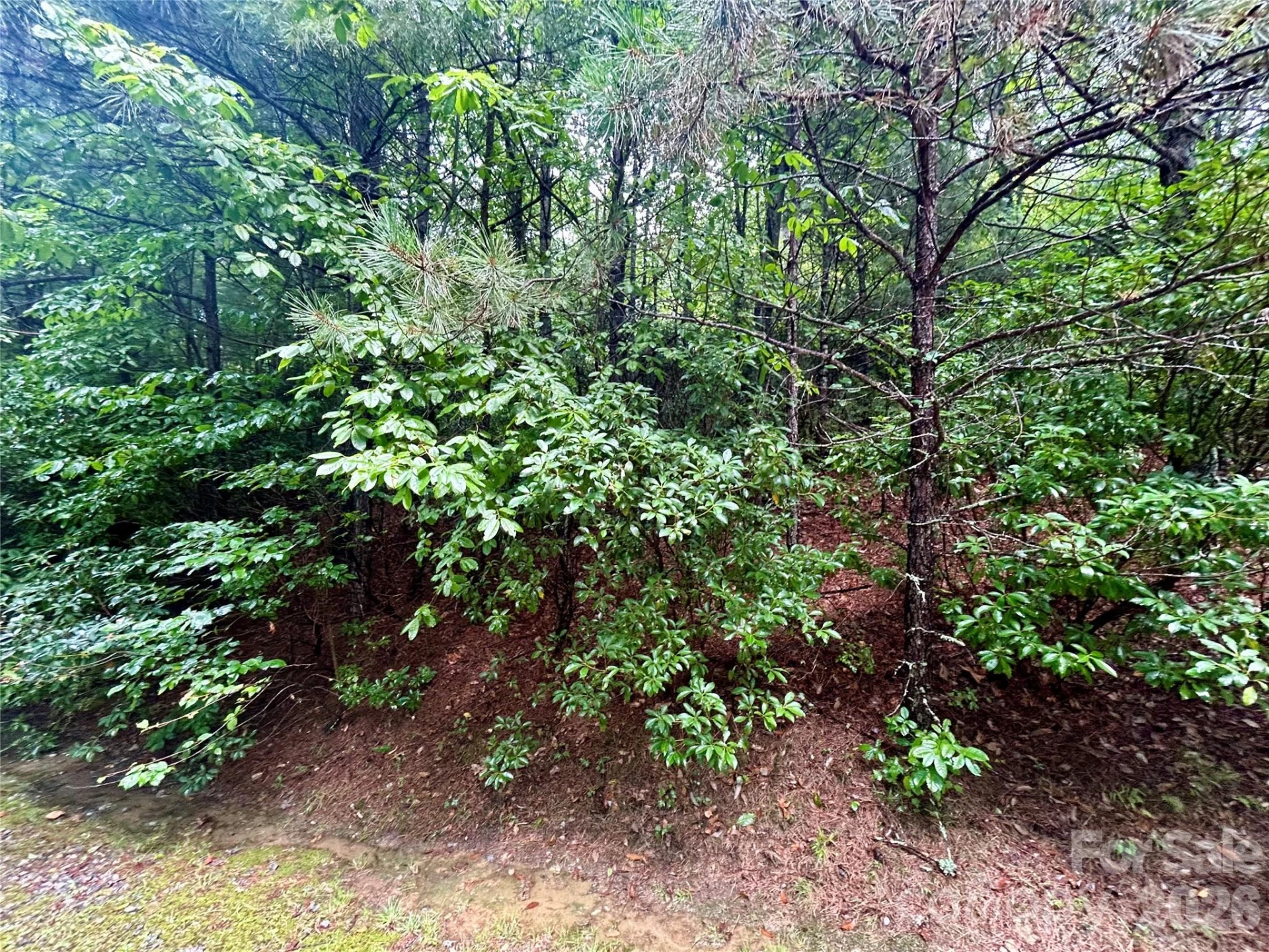 Lot 40 Hawk Mountain Road - Photo 13