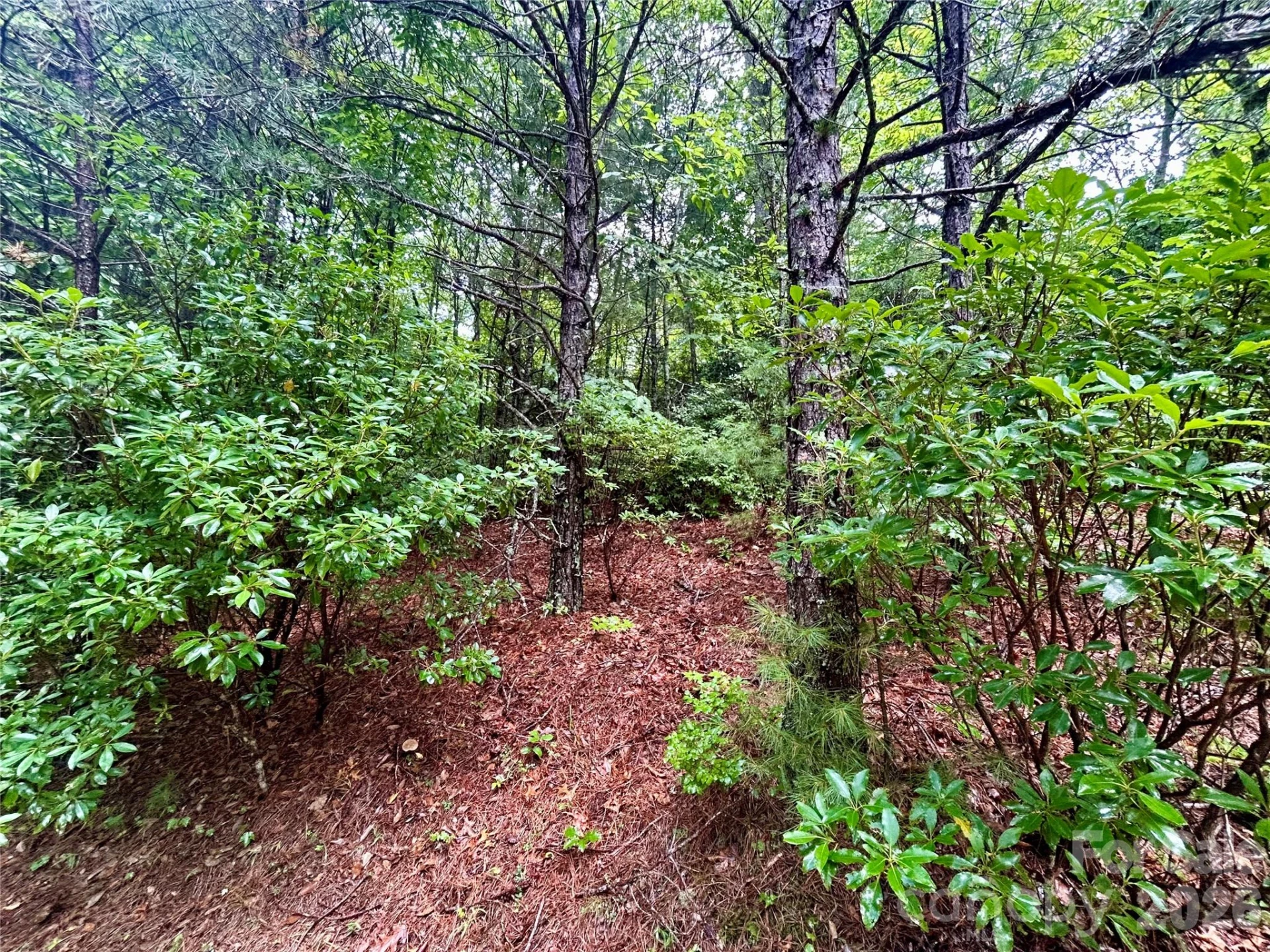 Lot 40 Hawk Mountain Road - Photo 14
