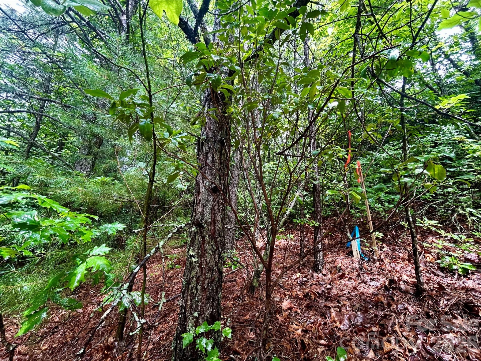 Lot 40 Hawk Mountain Road - Photo 15