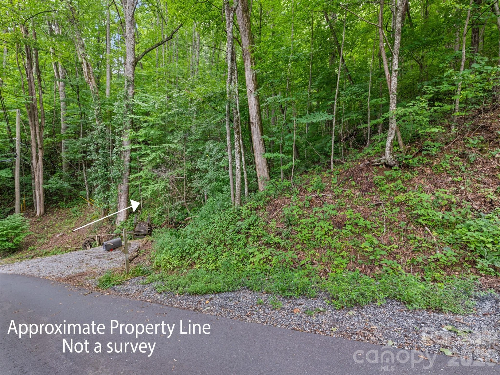 00 Dogwood Trail #21&22 - Photo 2
