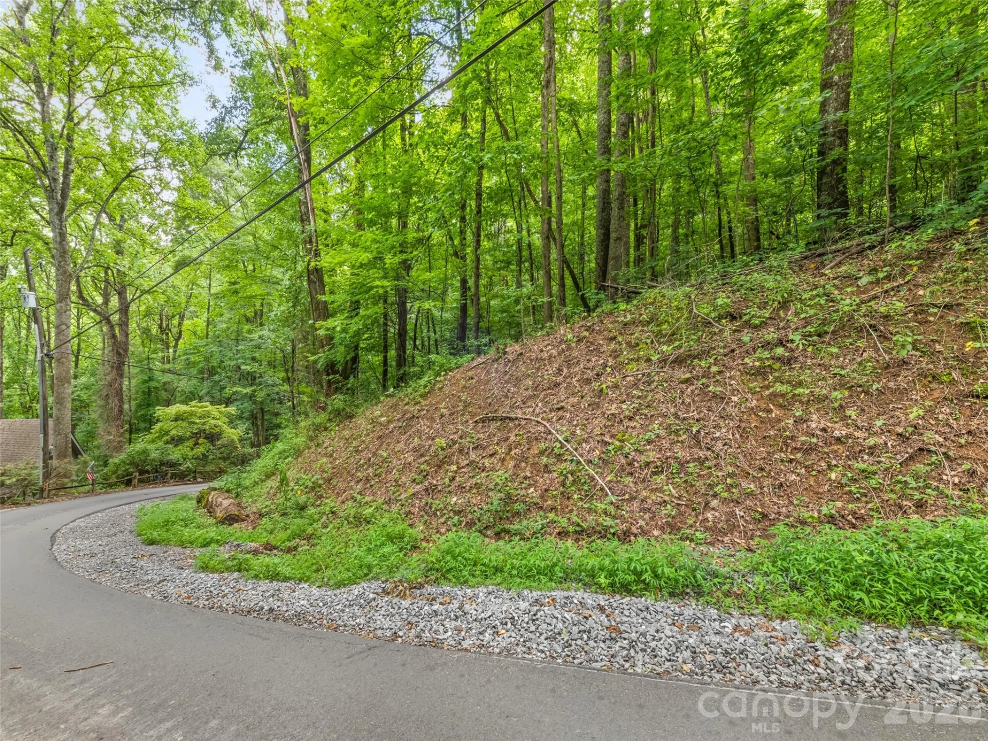 00 Dogwood Trail #21&22 - Photo 3