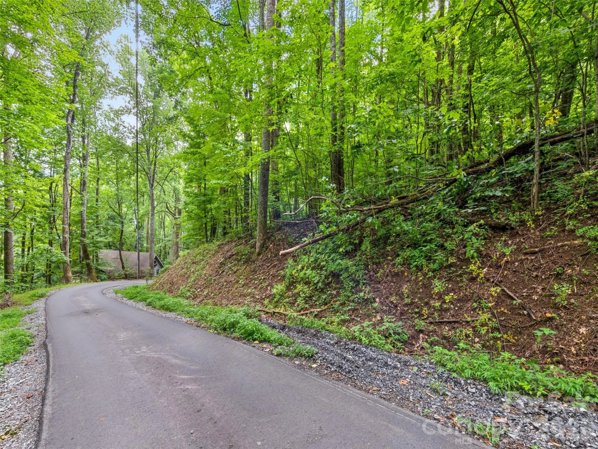 00 Dogwood Trail #21&22 - Photo 4