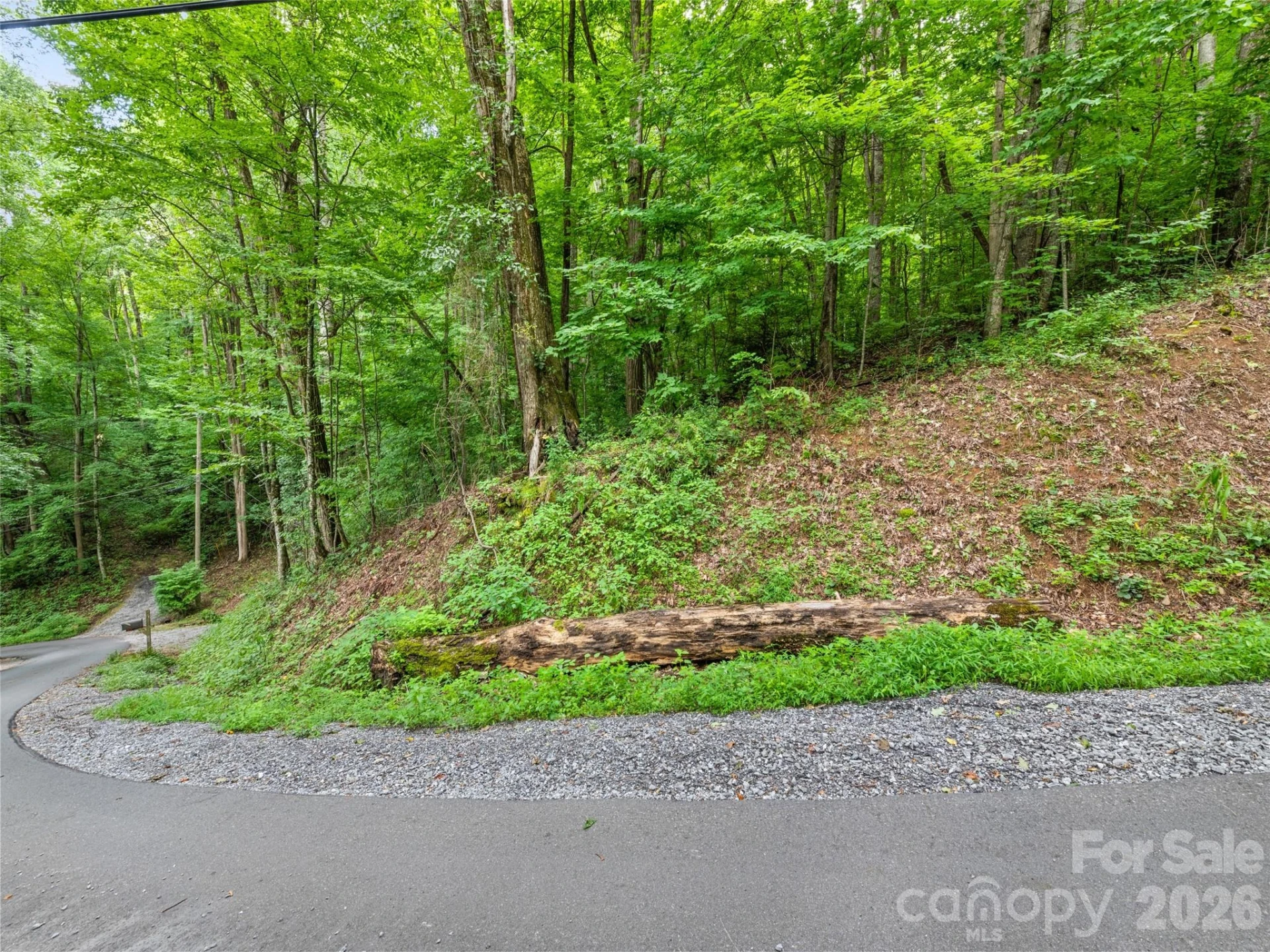 00 Dogwood Trail #21&22 - Photo 5