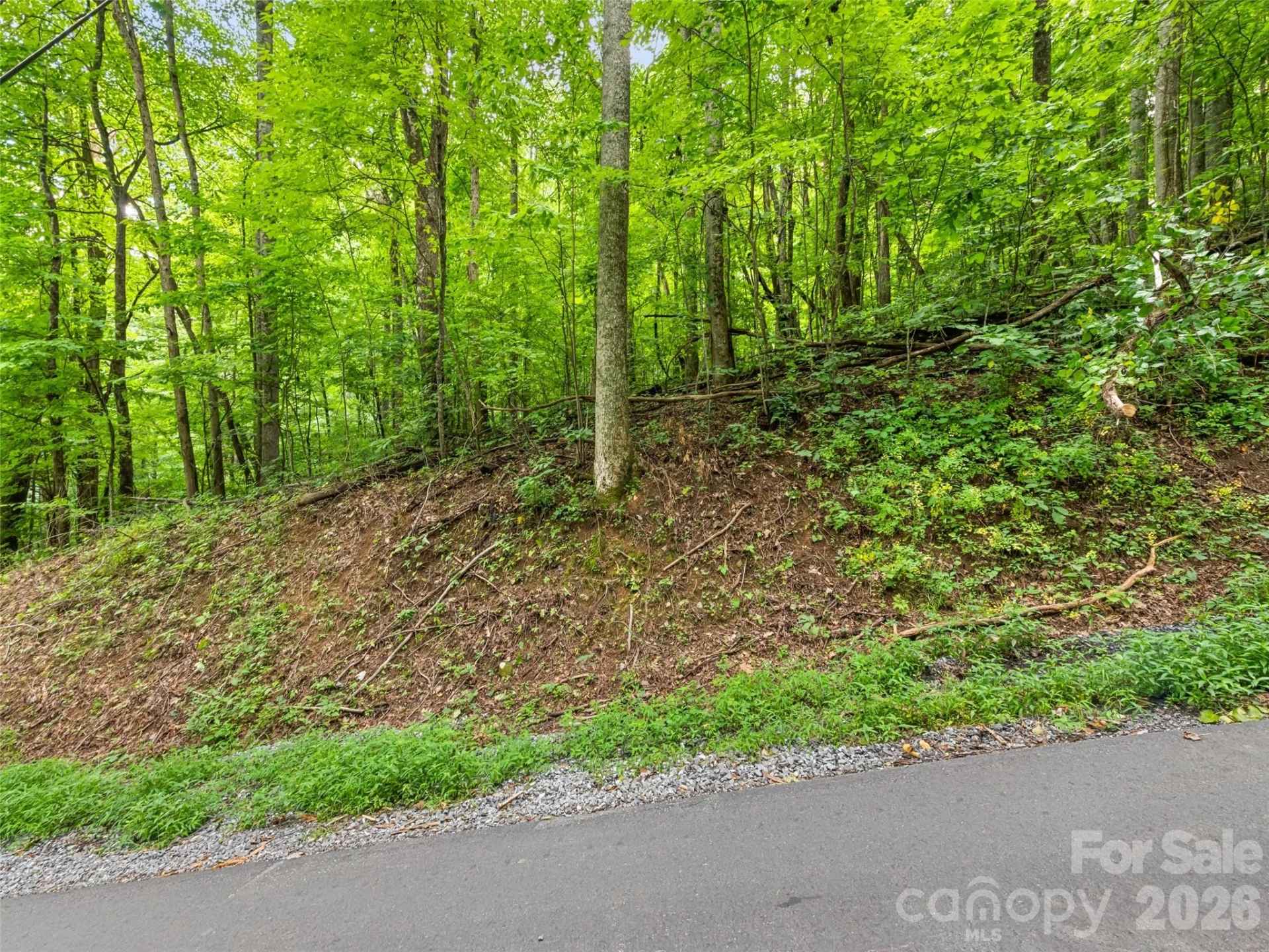 00 Dogwood Trail #21&22 - Photo 6