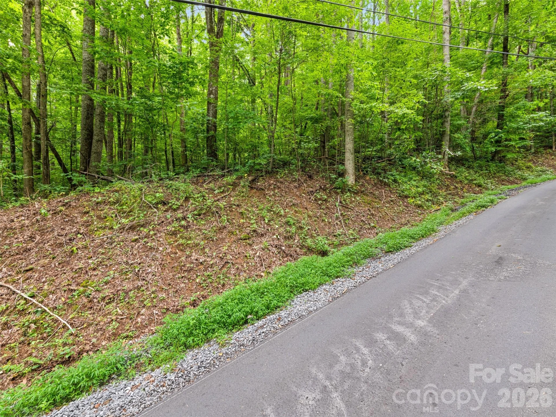 00 Dogwood Trail #21&22 - Photo 7