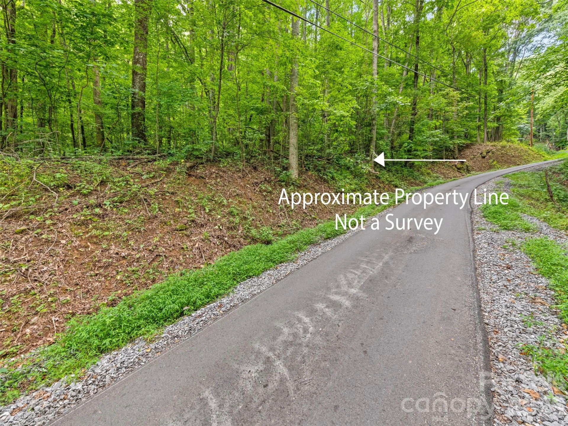 00 Dogwood Trail #21&22 - Photo 8