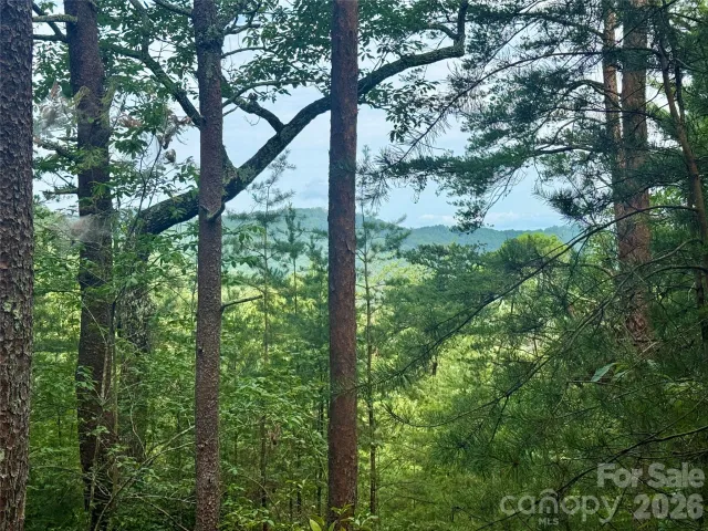 V/L Tahawus Drive, Bostic, NC, 28018