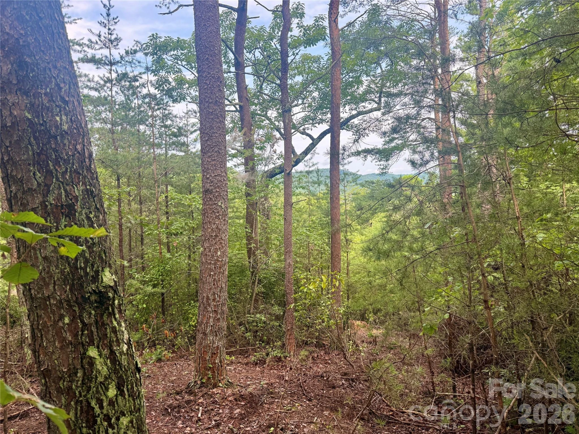 V/L Tahawus Drive #92 - Photo 2