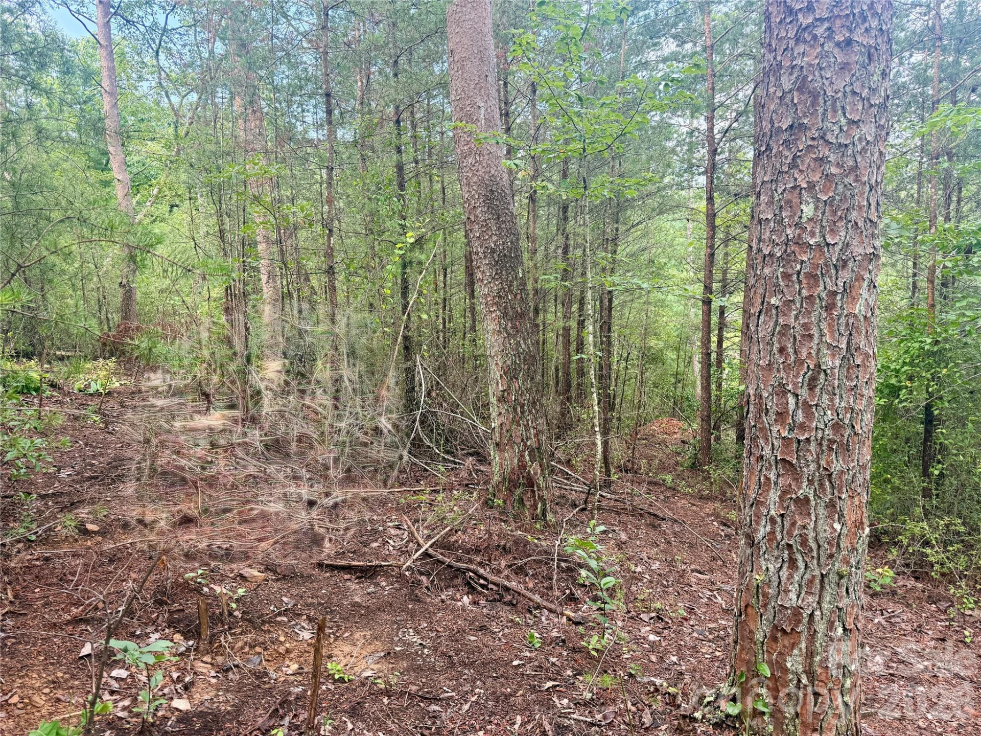 V/L Tahawus Drive #92 - Photo 4
