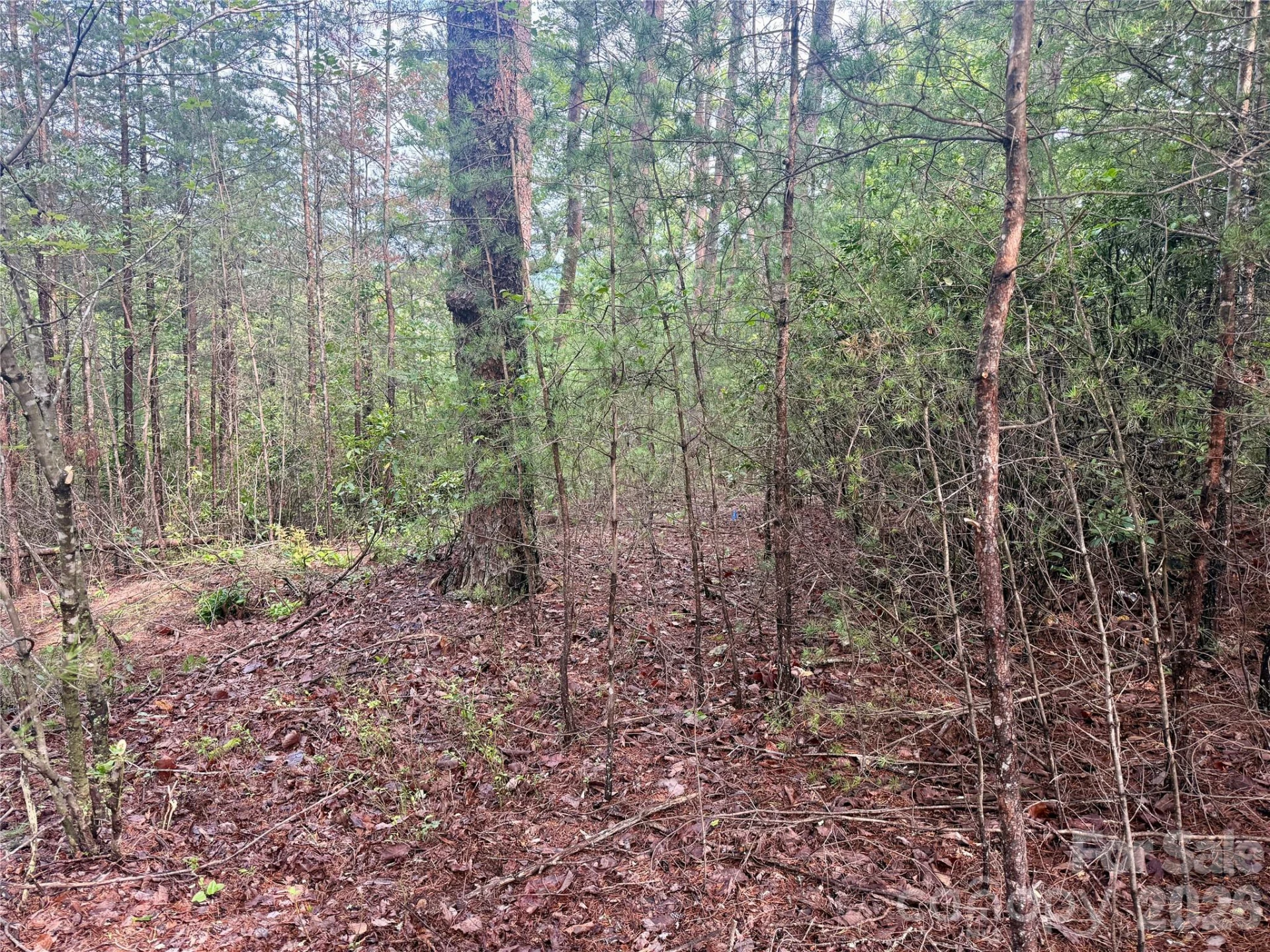 V/L Tahawus Drive #92 - Photo 5