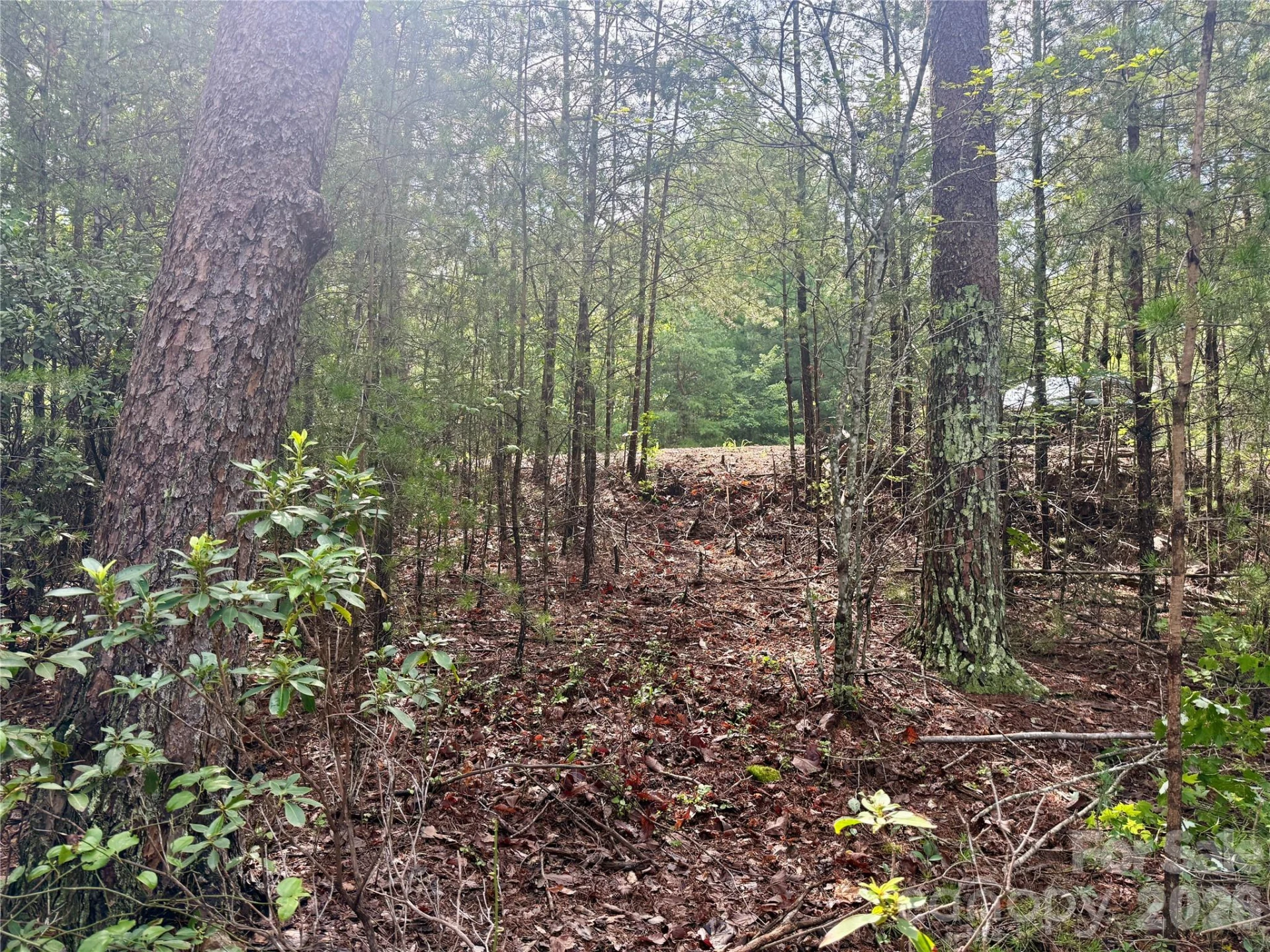 V/L Tahawus Drive #92 - Photo 8