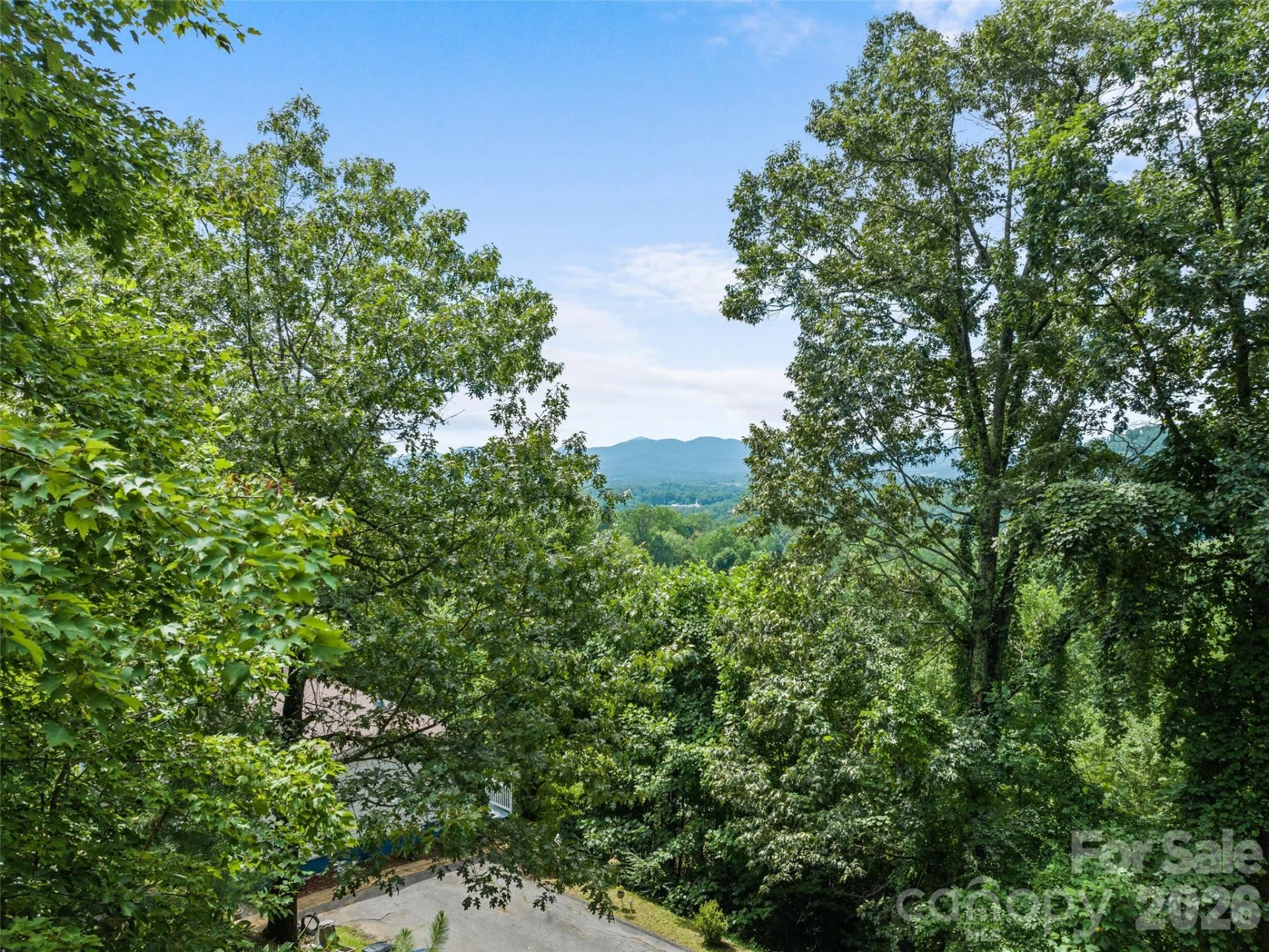 180 Hidden Meadow Drive - Photo 4