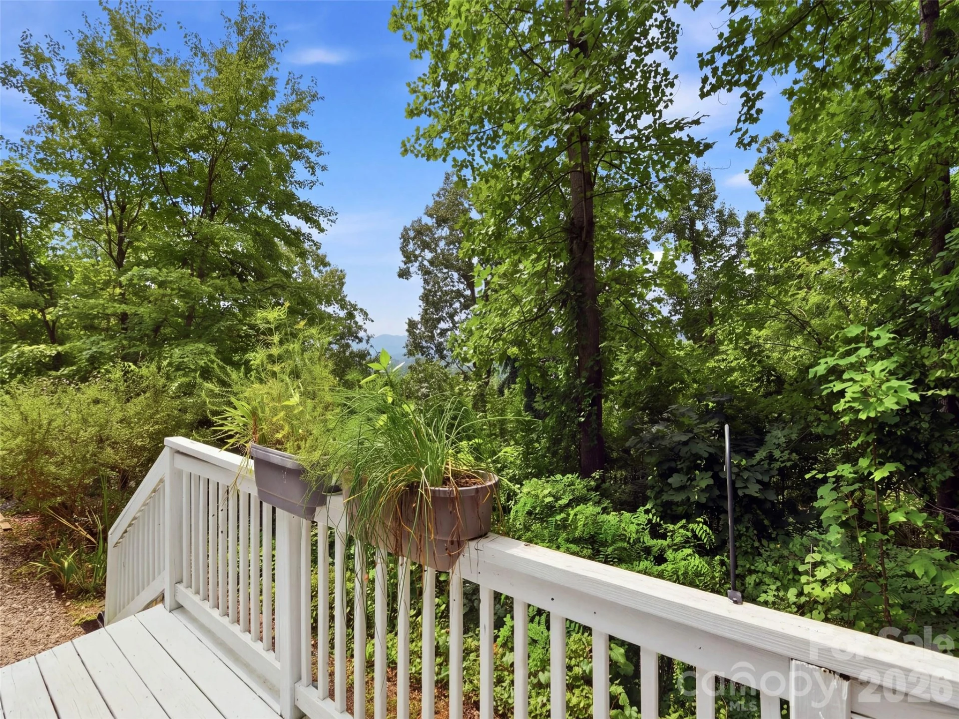 180 Hidden Meadow Drive - Photo 6