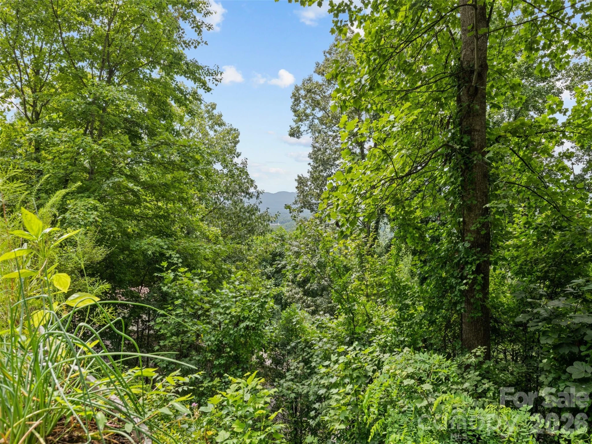 180 Hidden Meadow Drive - Photo 7
