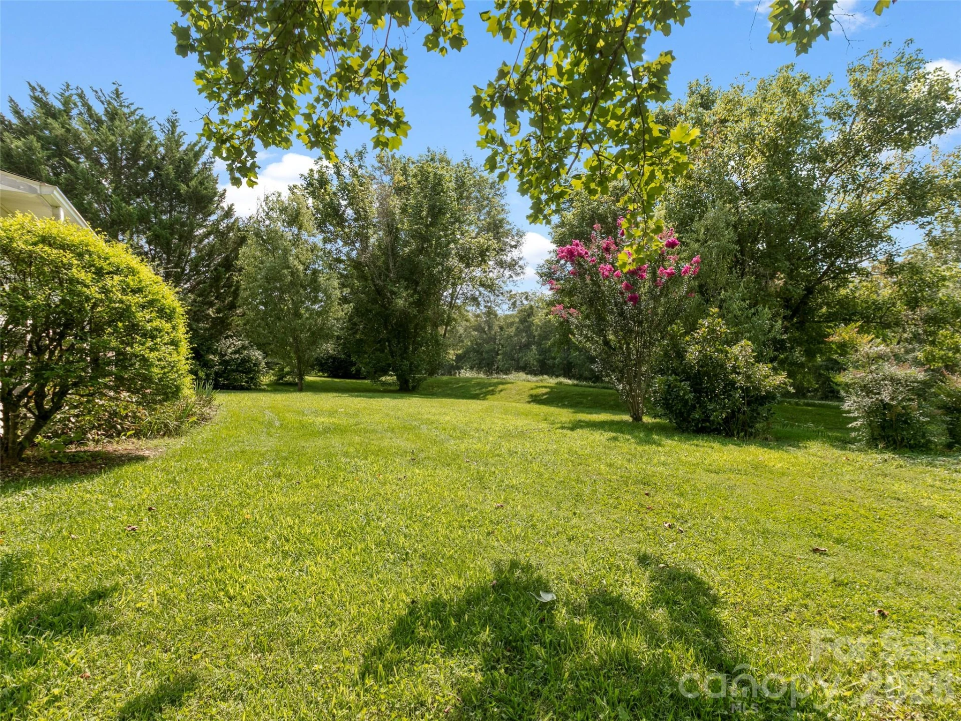54 English Oak Road - Photo 25