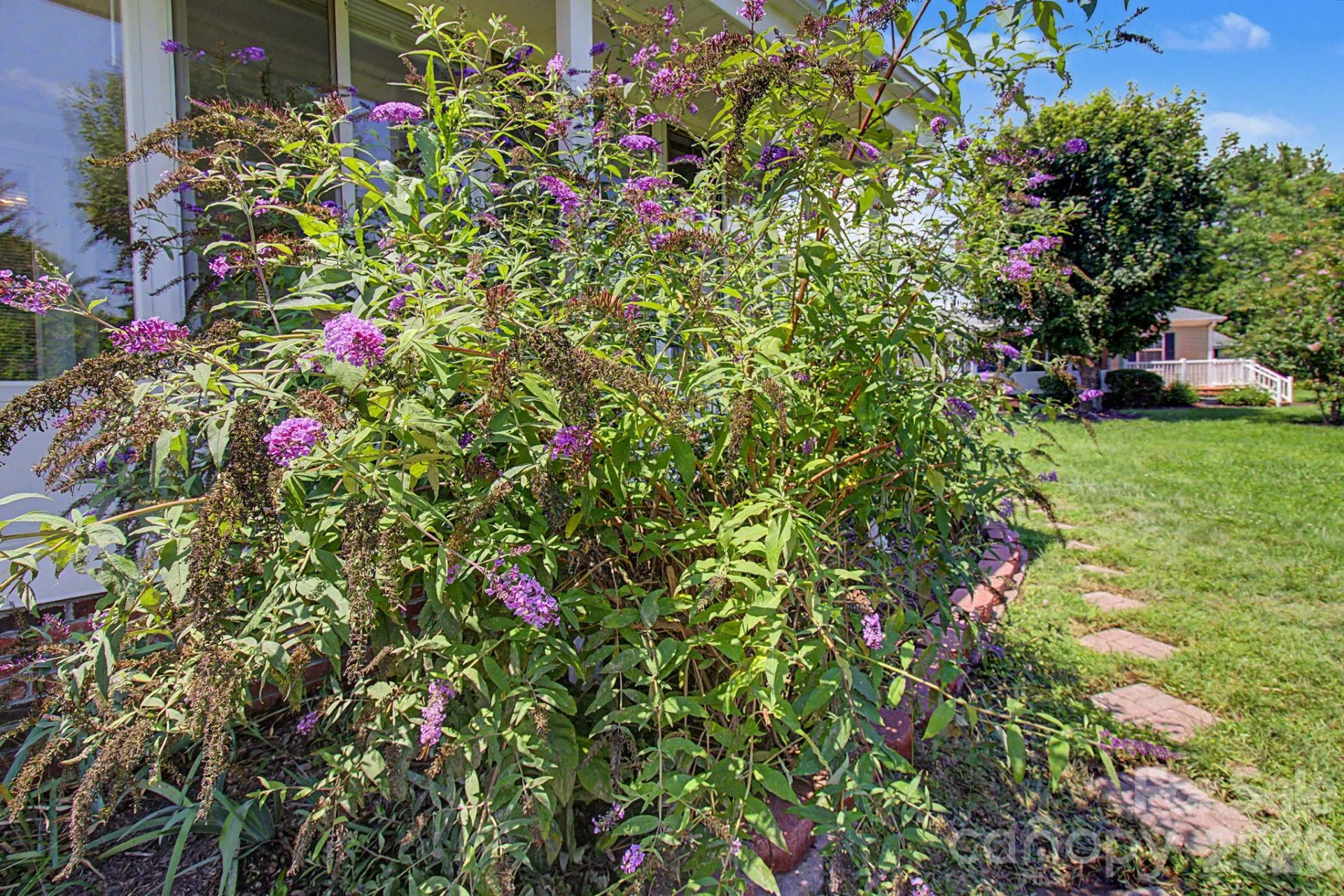 204 Red Birch Court - Photo 40