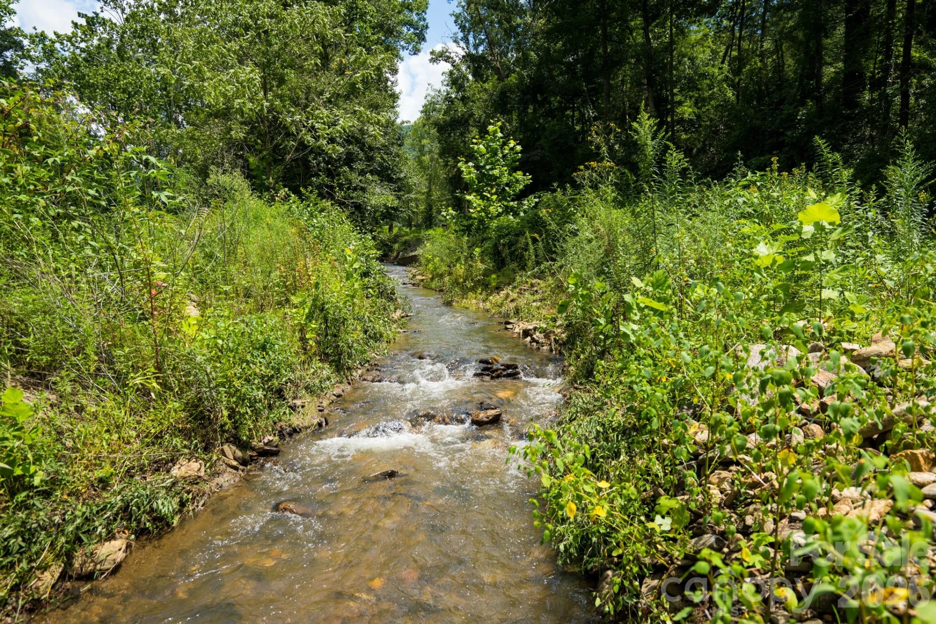 278 Shope Creek Road - Photo 7