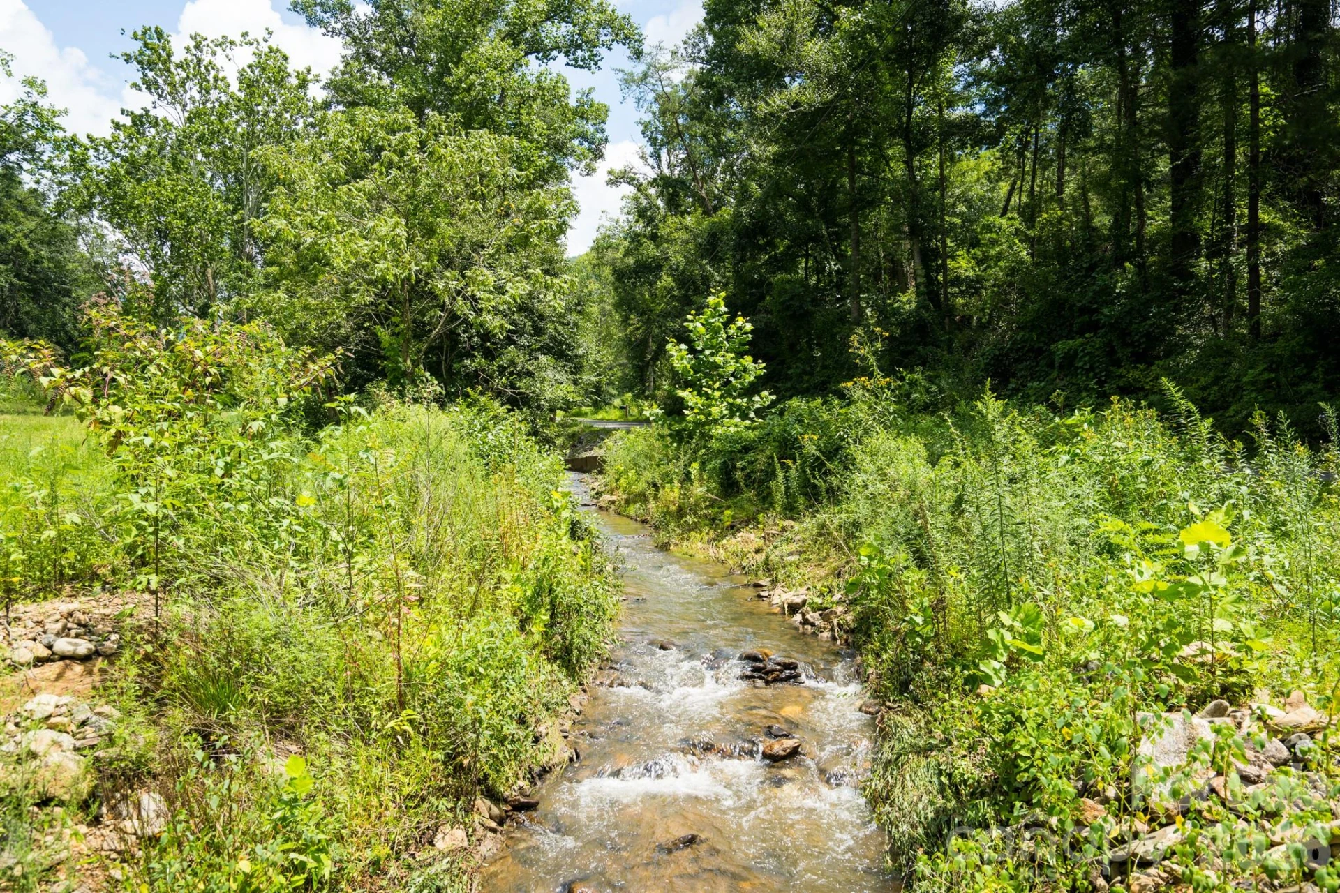 278 Shope Creek Road - Photo 8