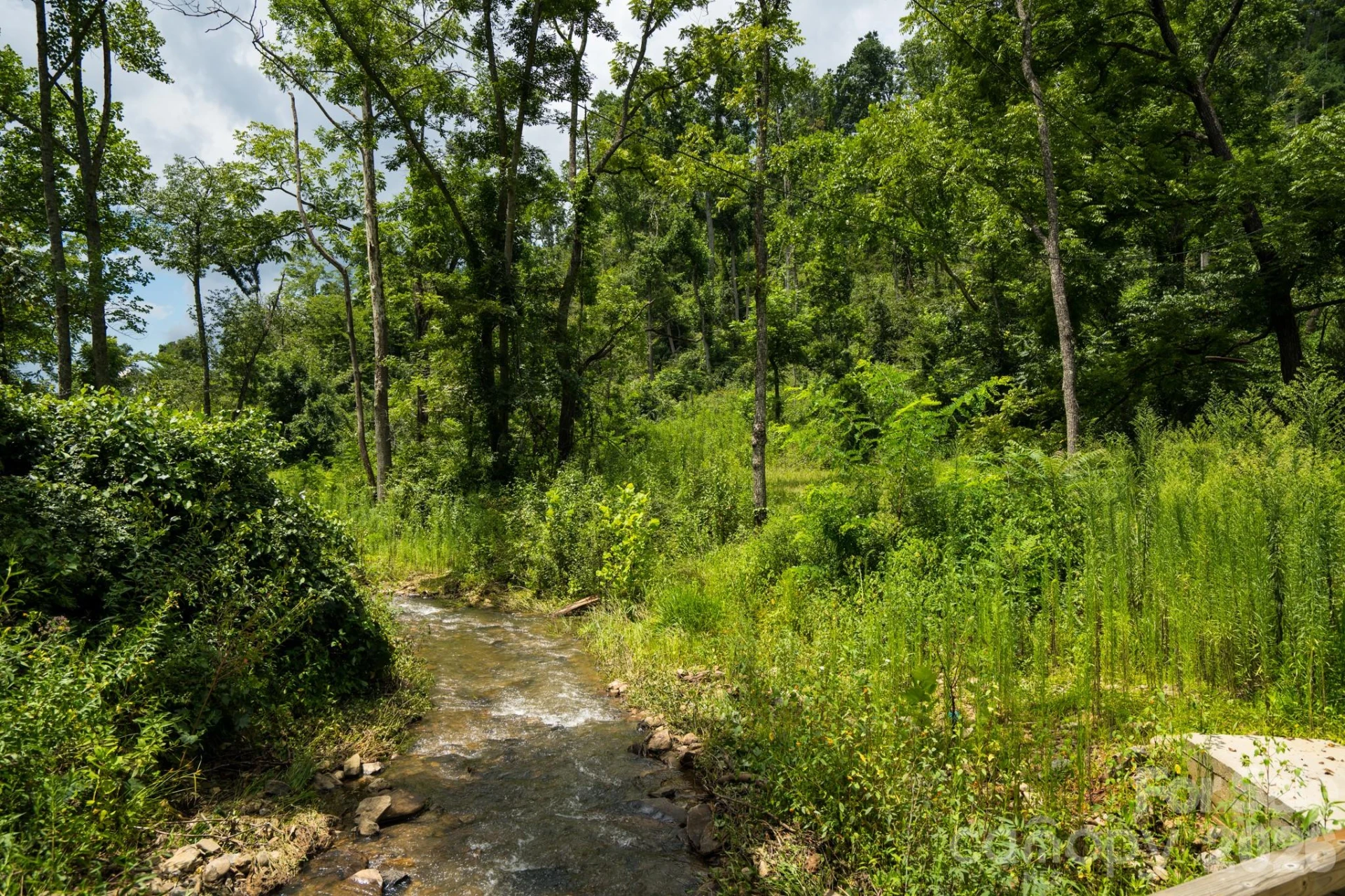 278 Shope Creek Road - Photo 27