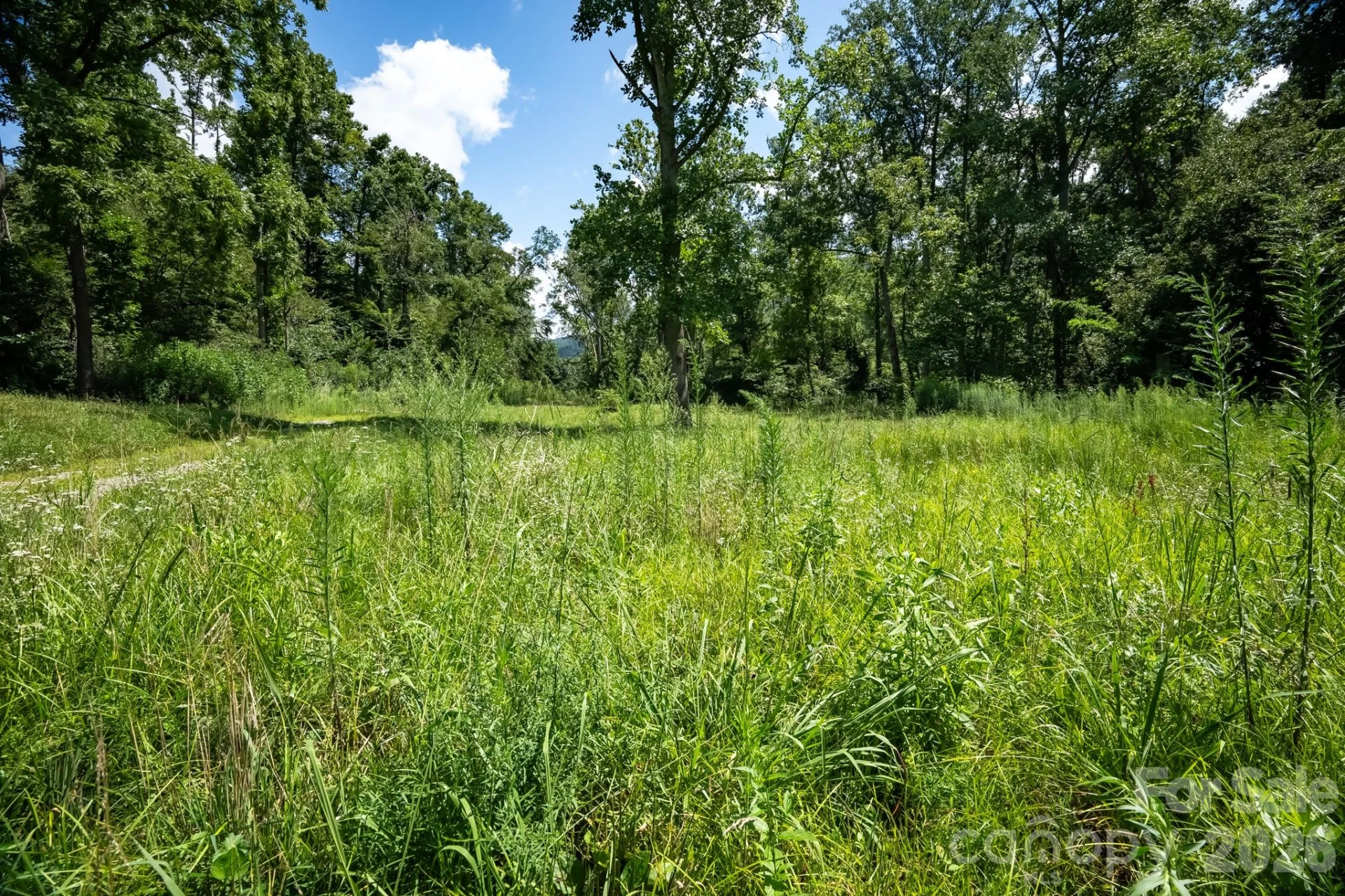 278 Shope Creek Road - Photo 29