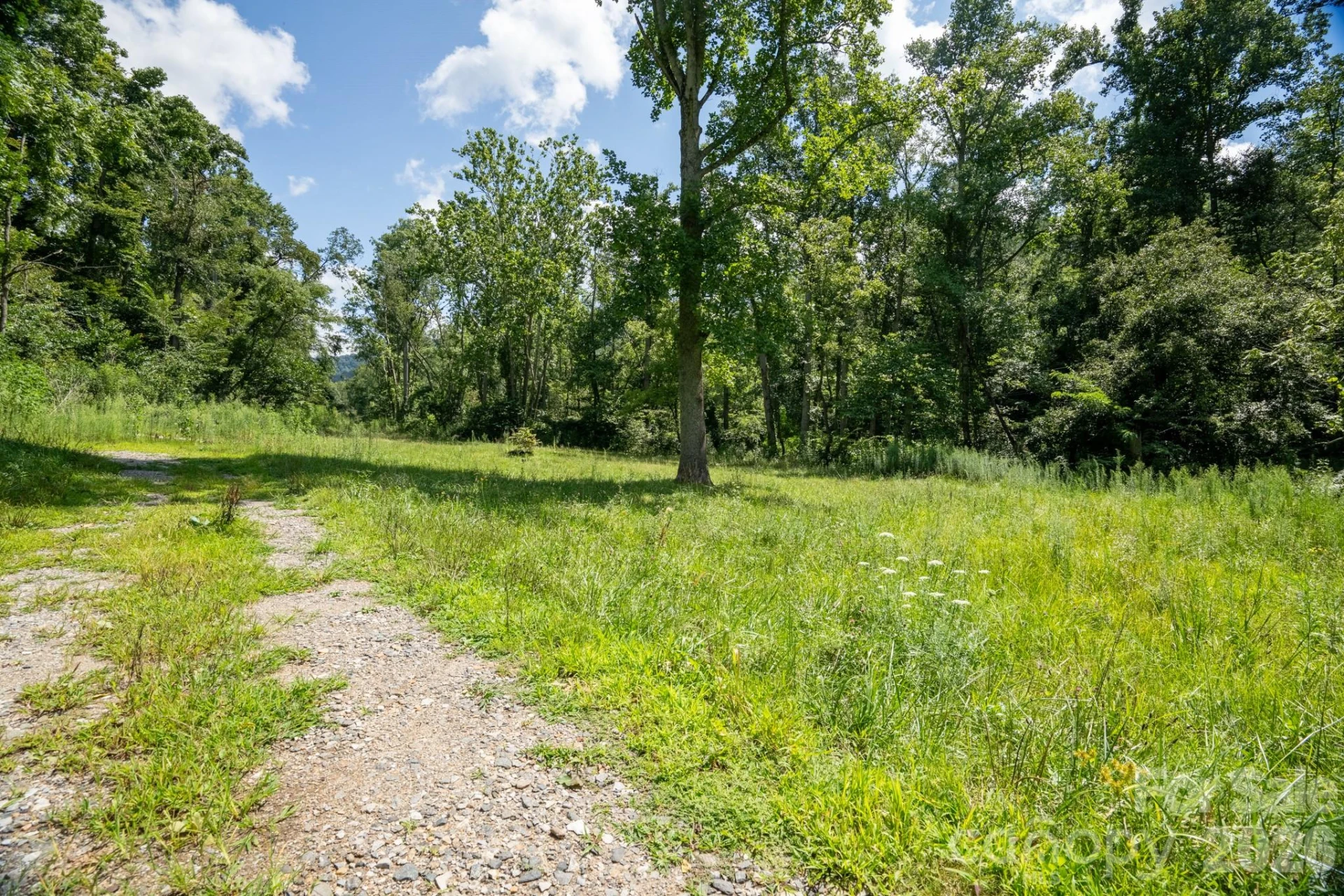 278 Shope Creek Road - Photo 30