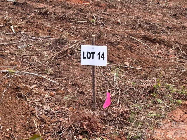 V/L Lotus Drive, Nebo, NC, 28761