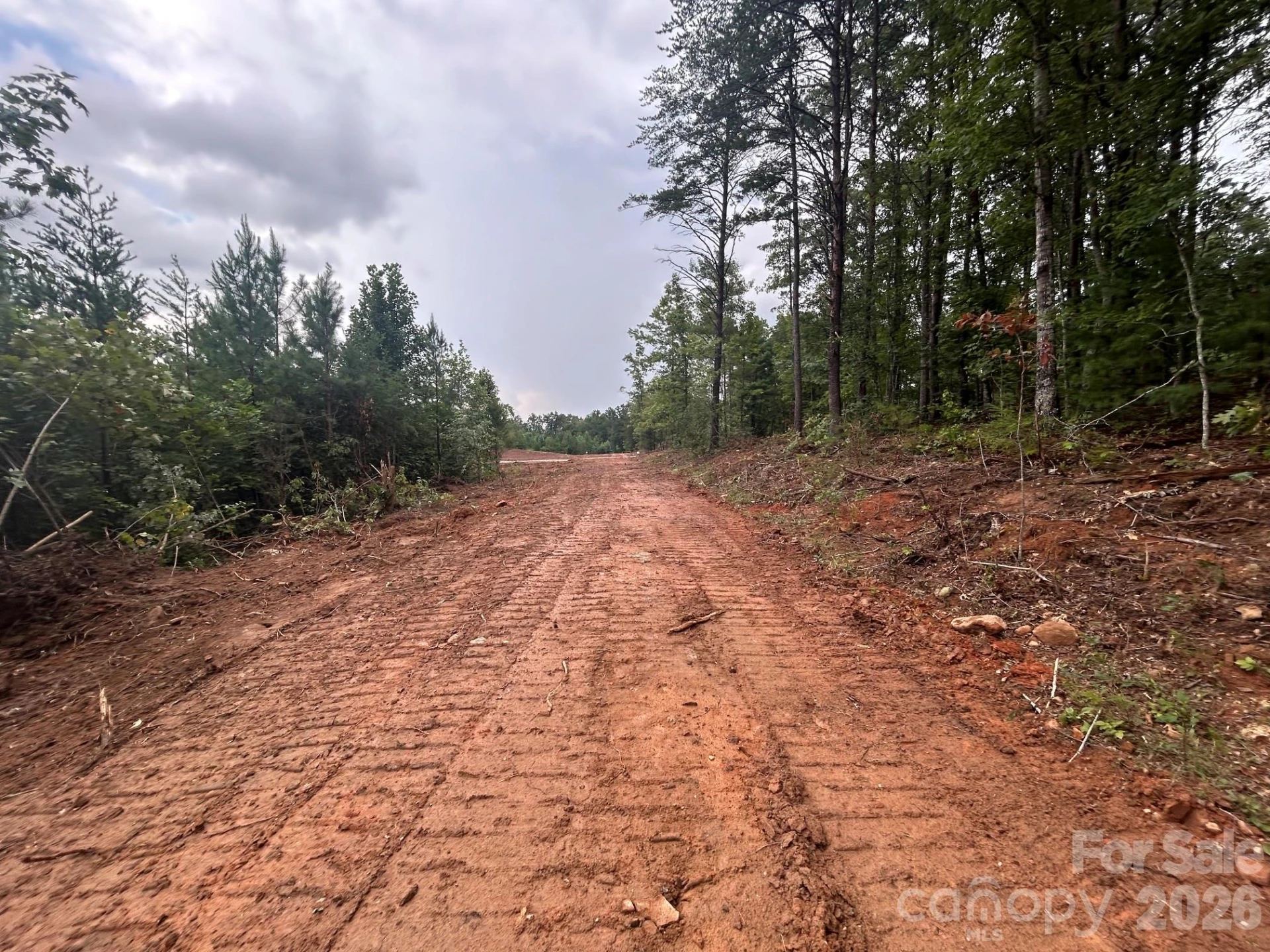V/L Lotus Drive #14 - Photo 15