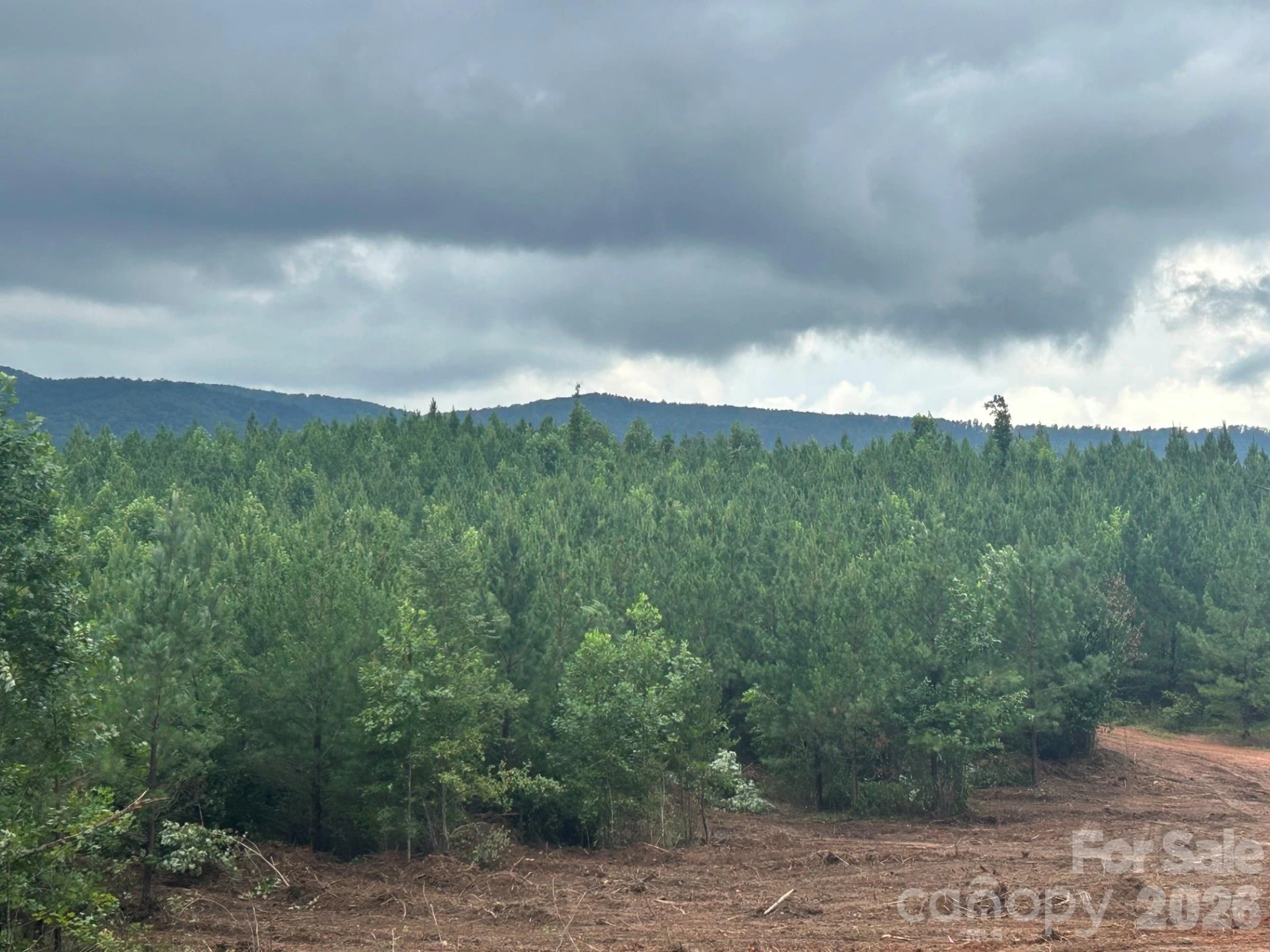 V/L Lotus Drive #14 - Photo 19