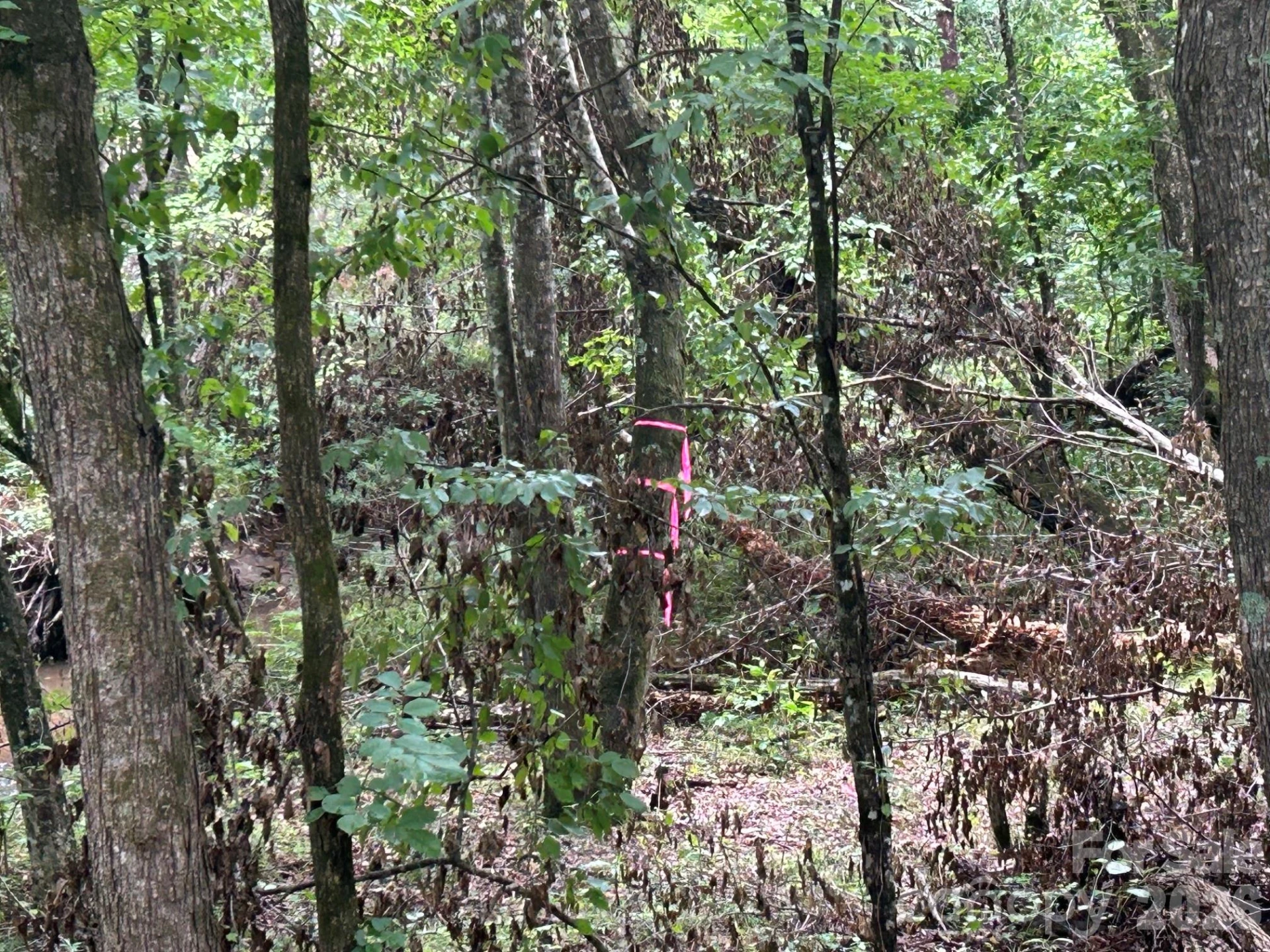 V/L Lotus Drive #14 - Photo 24