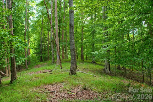 0 Cross Creek Drive, Rutherfordton, NC, 28139