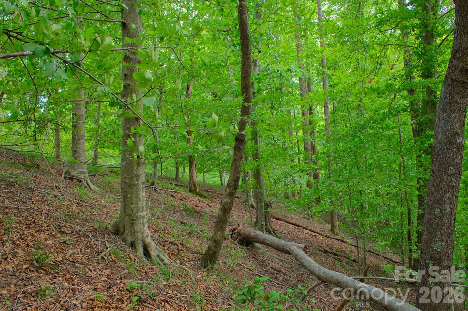 0 Cross Creek Drive #136+136A - Photo 2