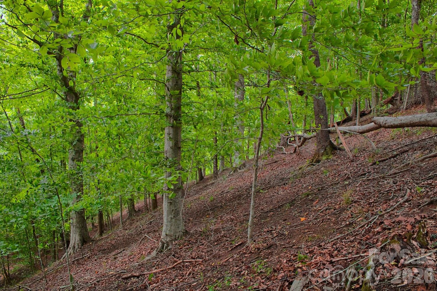 0 Cross Creek Drive #136+136A - Photo 3