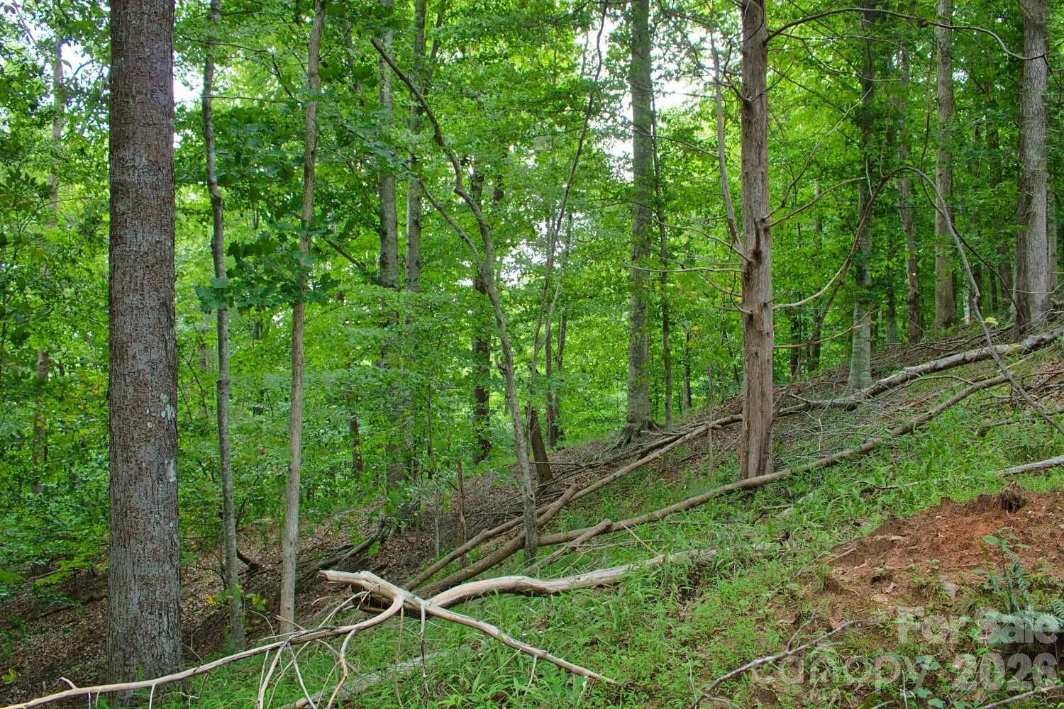 0 Cross Creek Drive #136+136A - Photo 5