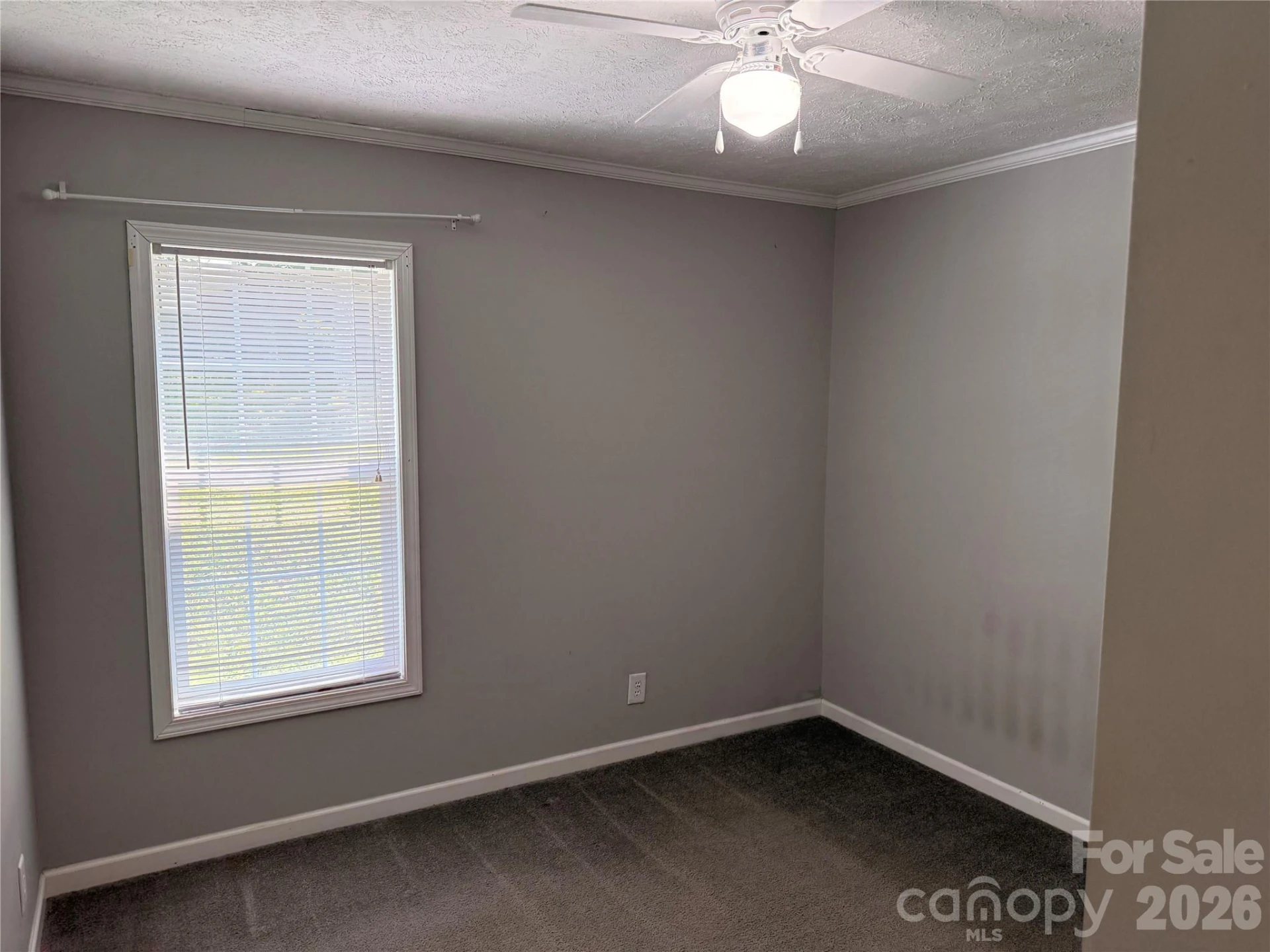 166 Albert Drive - Photo 12
